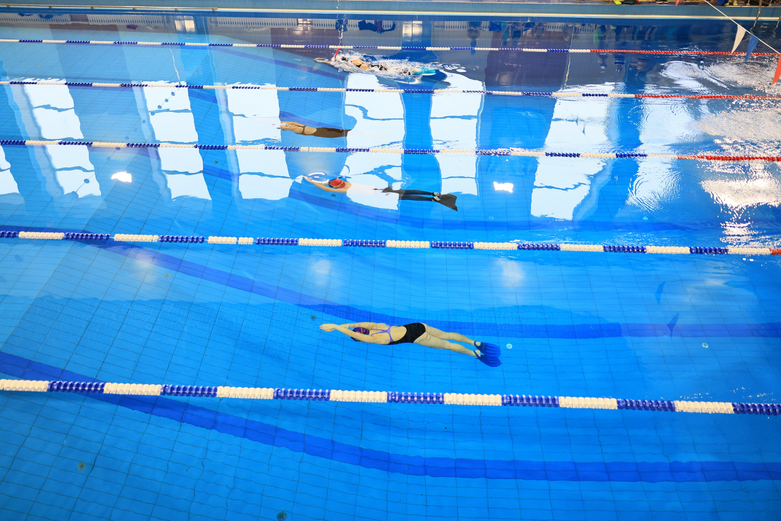 Плавание в ластах (разные годы, более 10 репортажей выборка пополняемая). Фотограф в Туле Крупский АнДРей. Фотостудия «КАДР71» в Туле