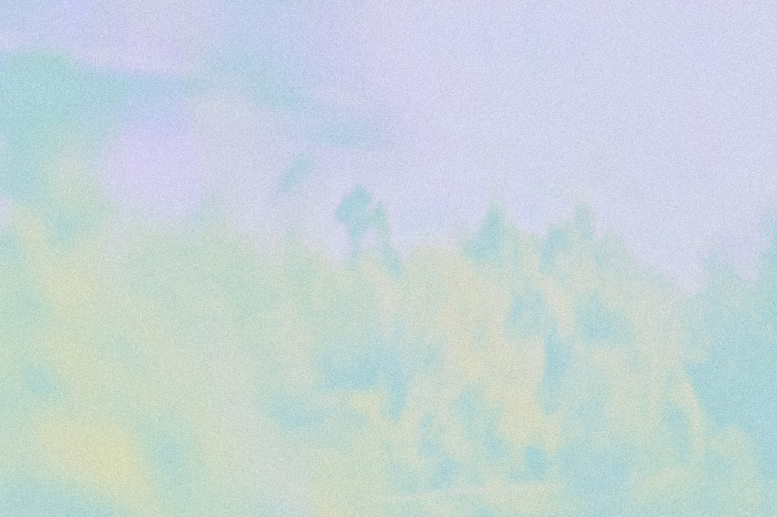 Negative Colors. Художественный фотограф в Москве Алексей Сутягин