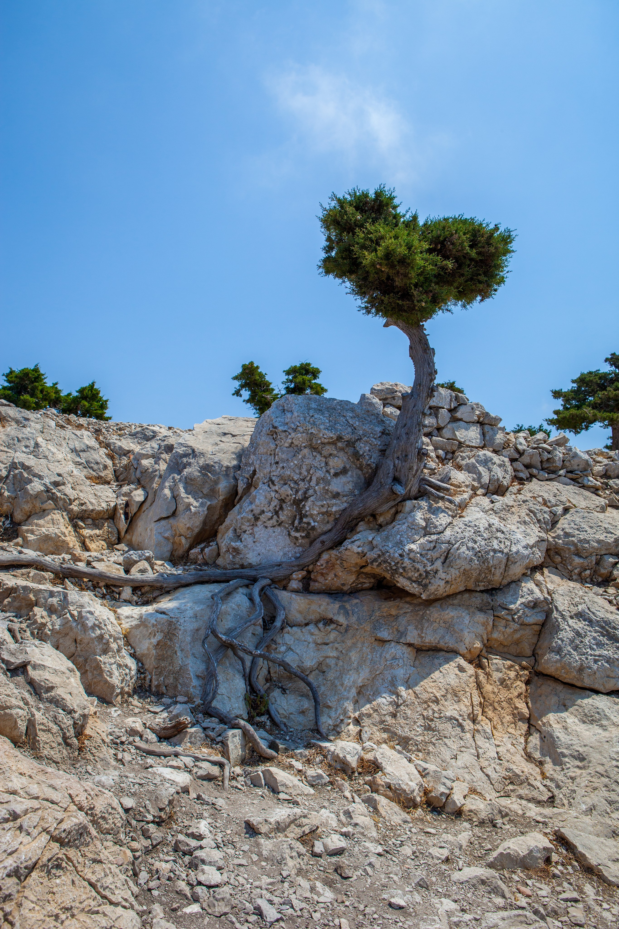 Родос. Фотография, ретушь, сканирование, восстановление старых фото, интерьерная съёмка, студия. Данилов Александр, Москва