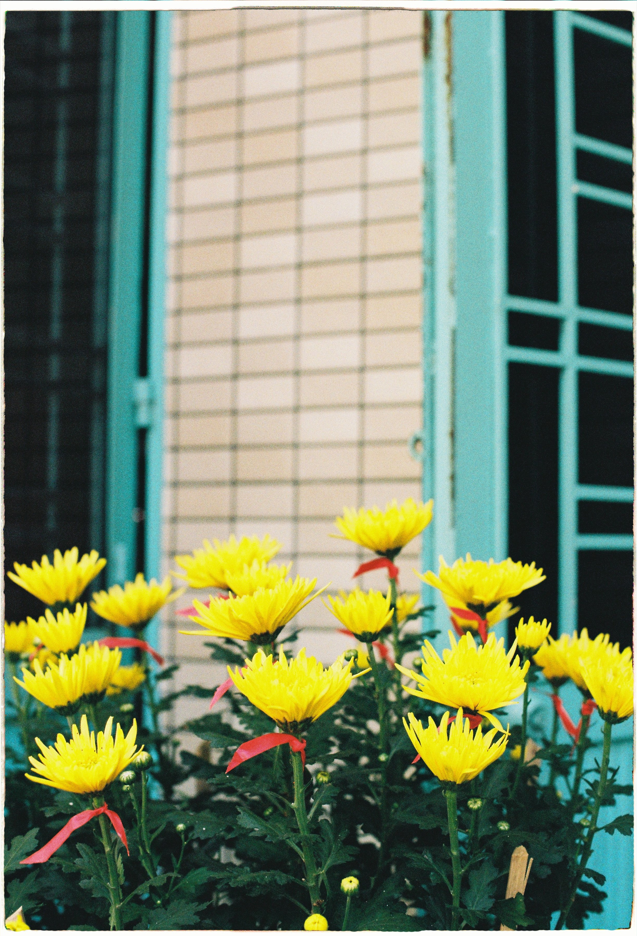 Hoi An. Film Photographer in Da Nang, Vietnam — Tanya Parfenteva