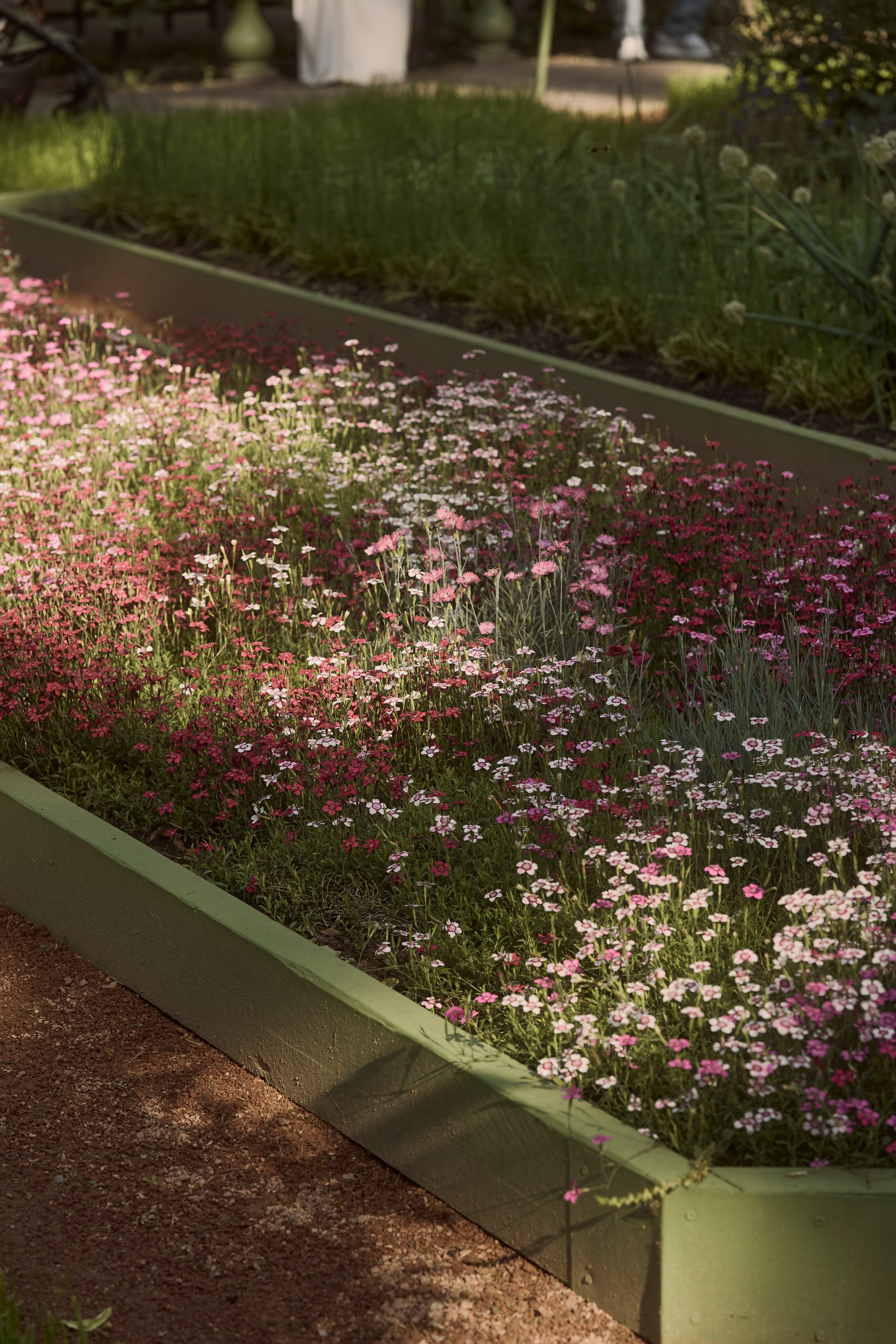 Kris. Гасанова Алина|Фотограф в Санкт-Петербурге