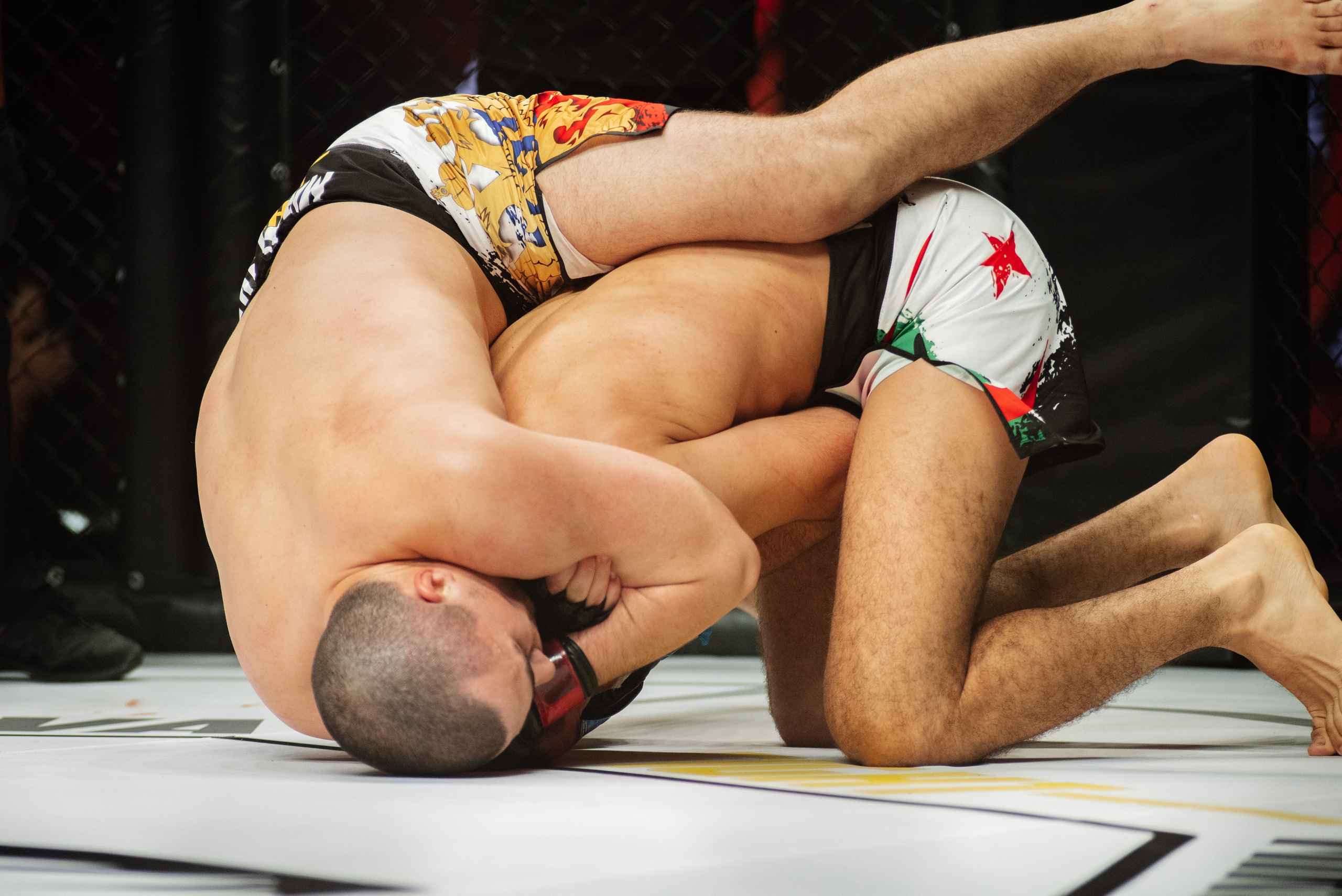 Miroslava Fight