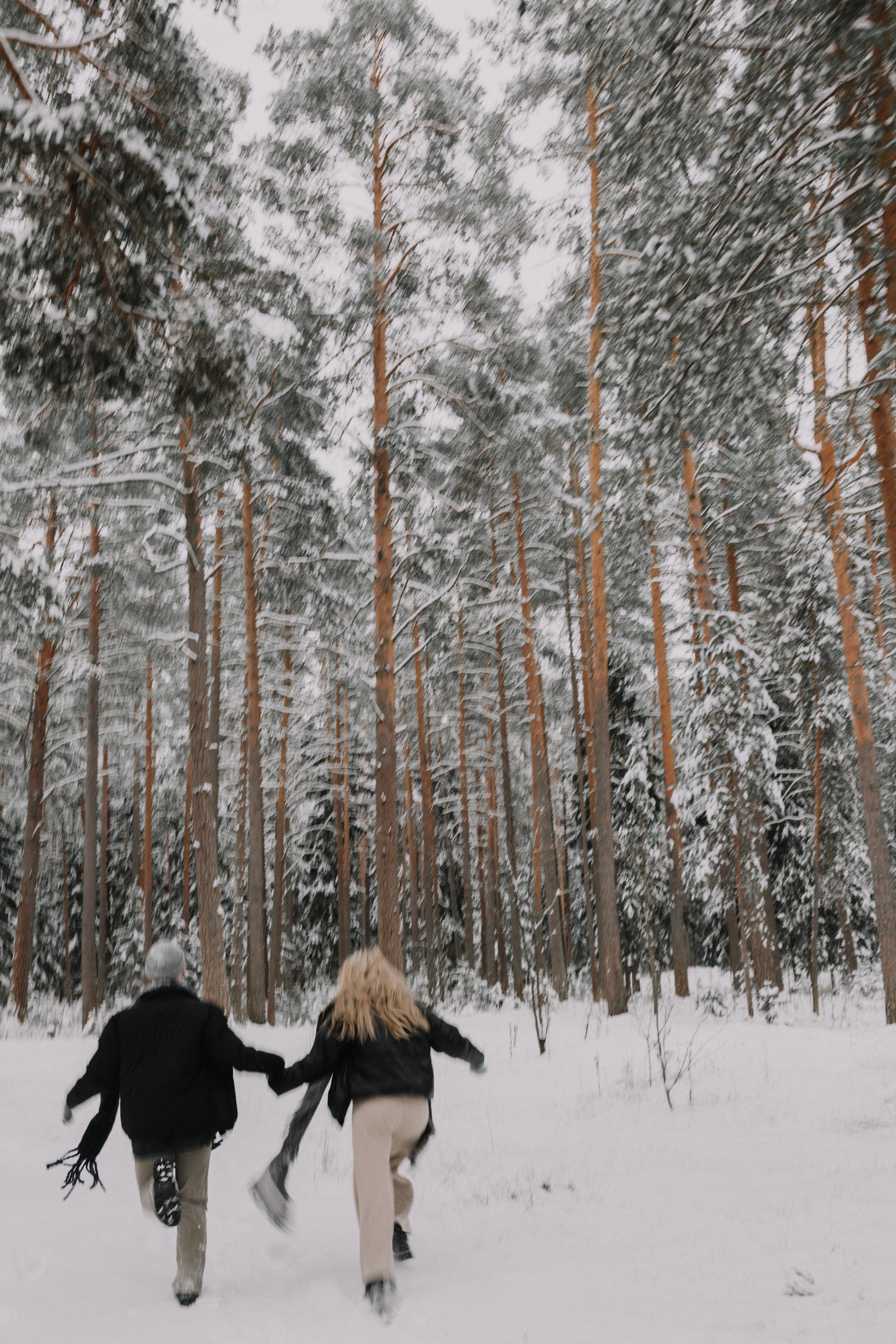 Марина и Саша. Свадебный фотограф Москва и МО Паншина Дарья
