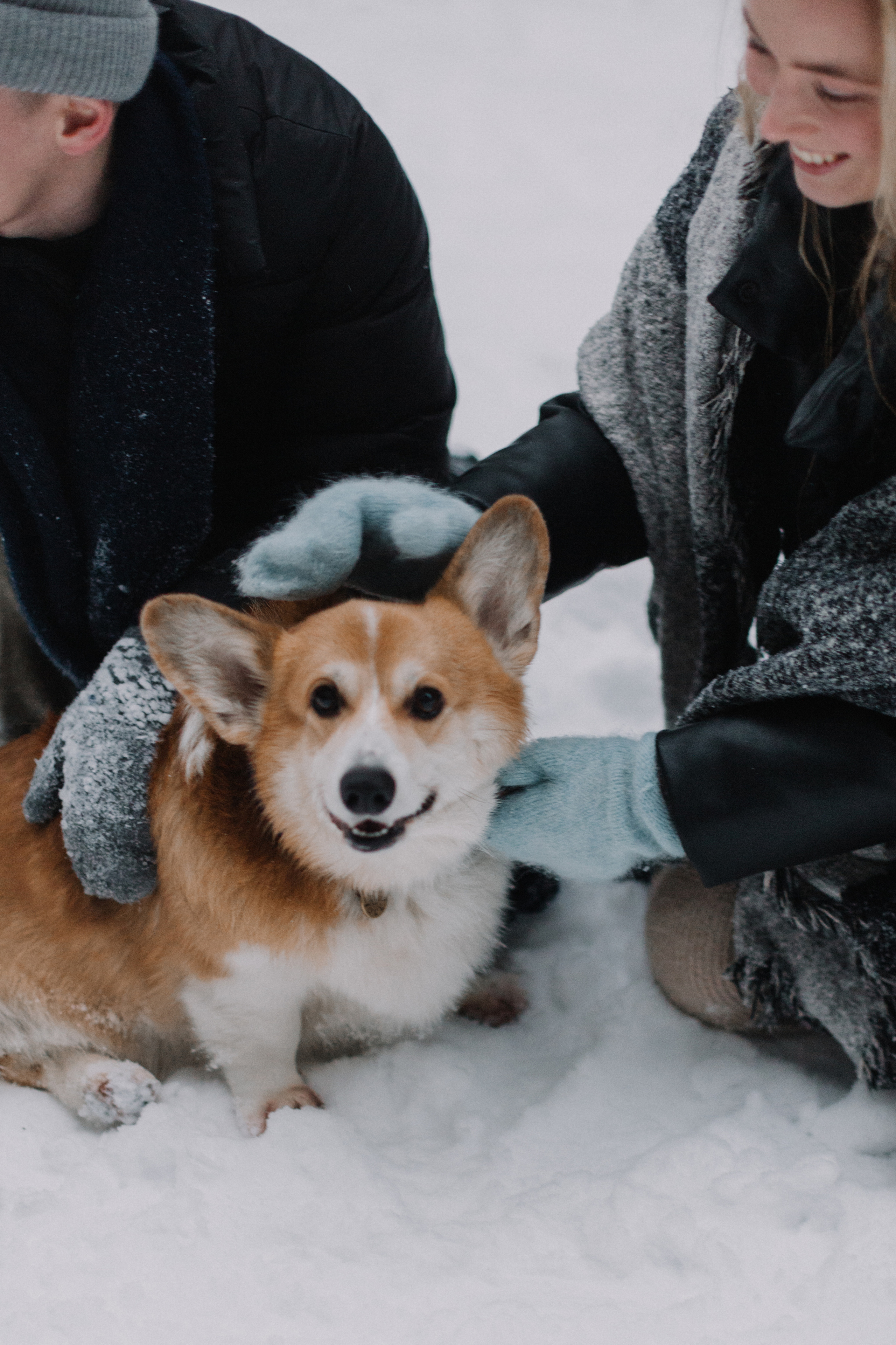 Марина и Саша. Свадебный фотограф Москва и МО Паншина Дарья