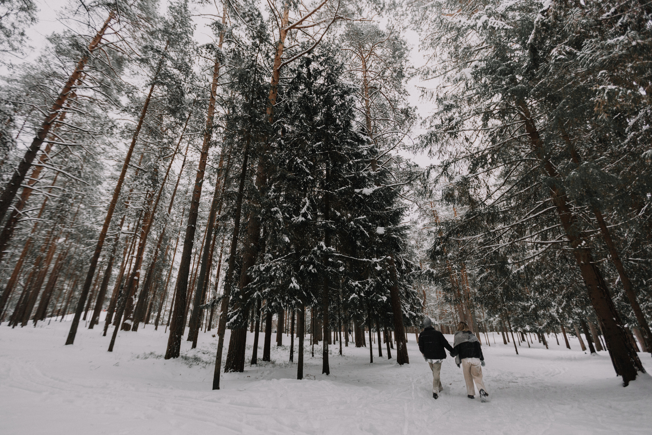 Марина и Саша. Свадебный фотограф Москва и МО Паншина Дарья