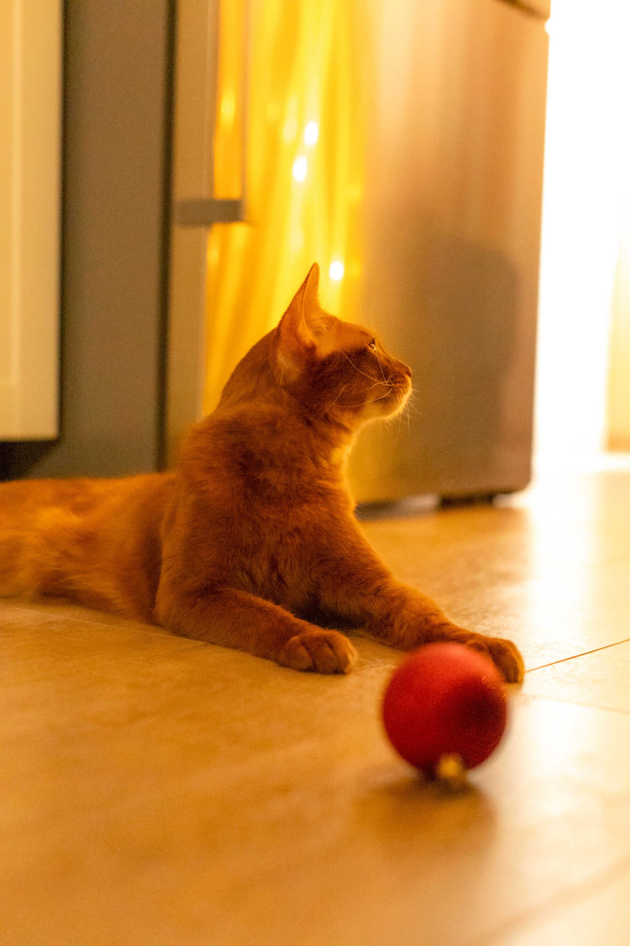 Сомали. Art my Pho