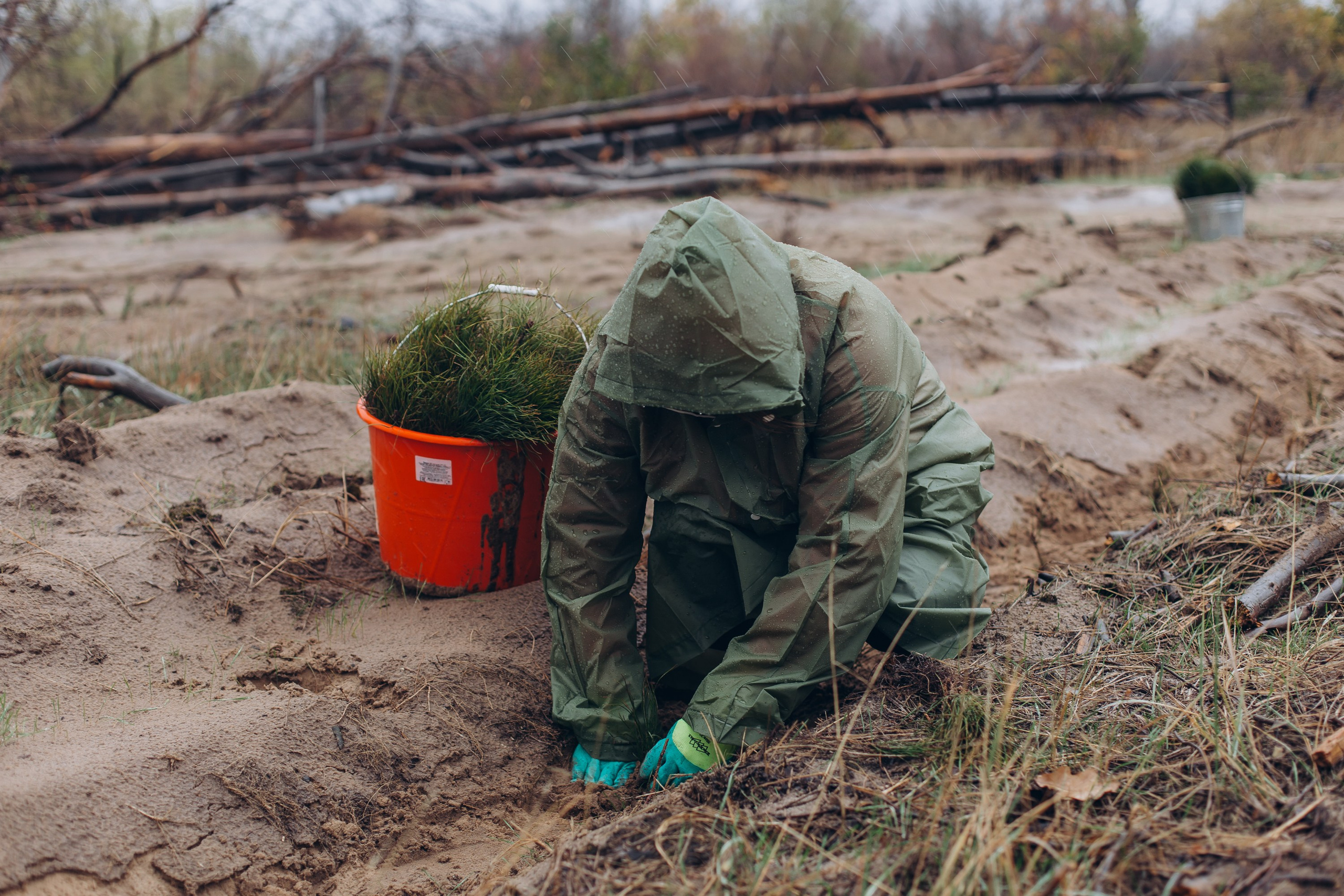 Посадка деревьев в Усть-Донецком районе. Артём Панфилов — Свадебный и семейный фотограф в Ростове-на-Дону