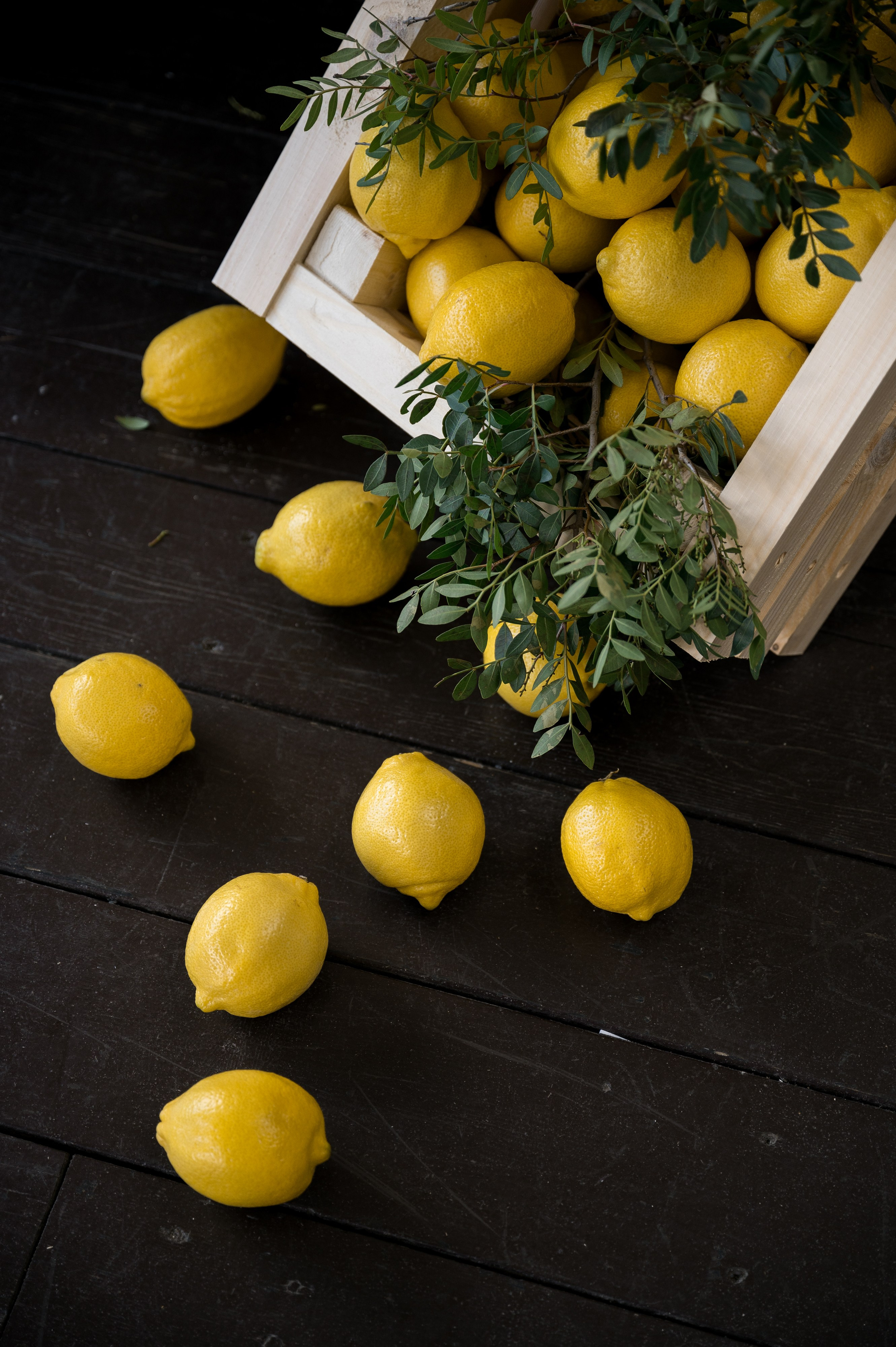 Корпоратив в Balzi Rossi