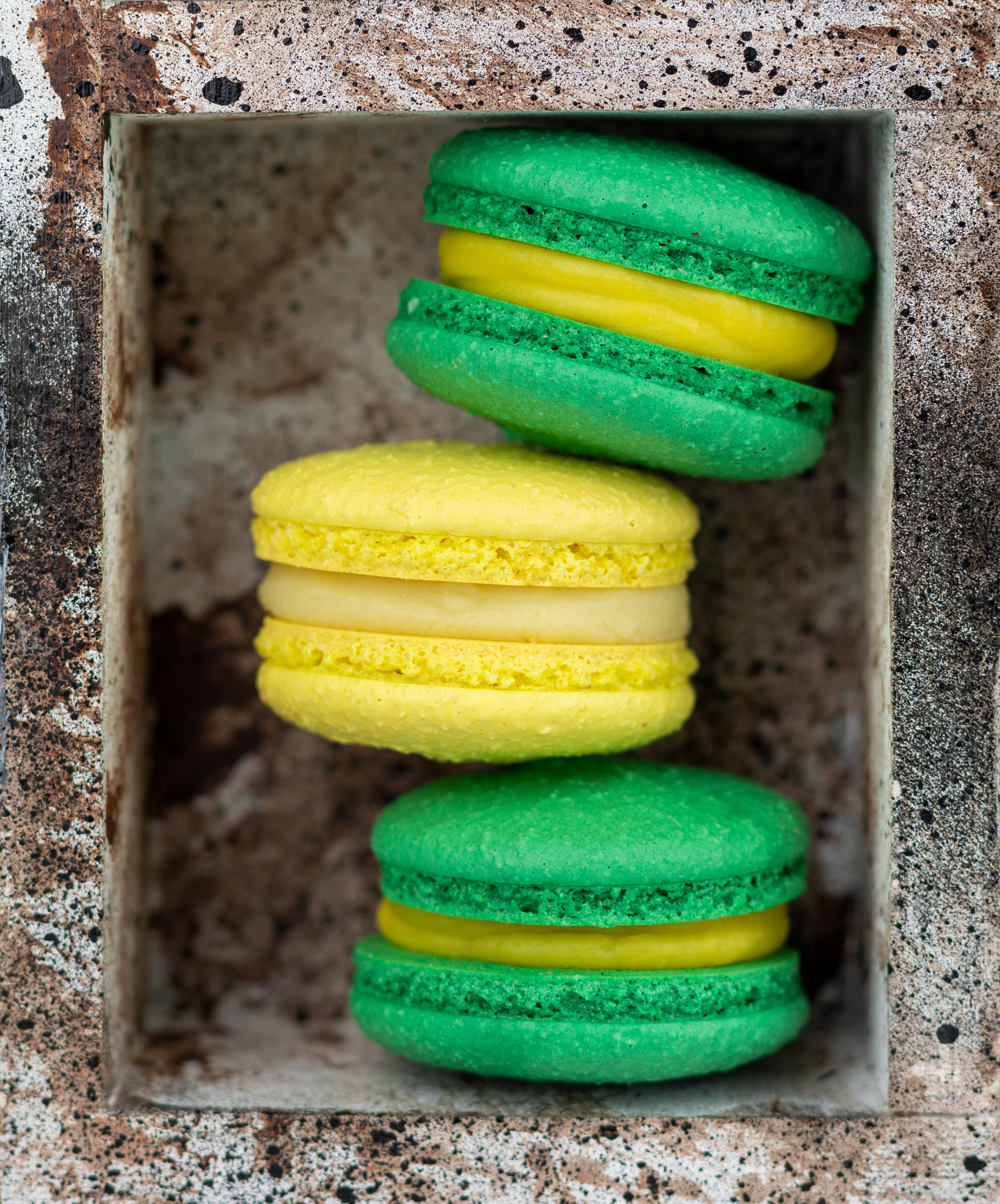 Игра в макарунс. Фотограф в Костроме, Ярославле, Москве Светлана Заведеева