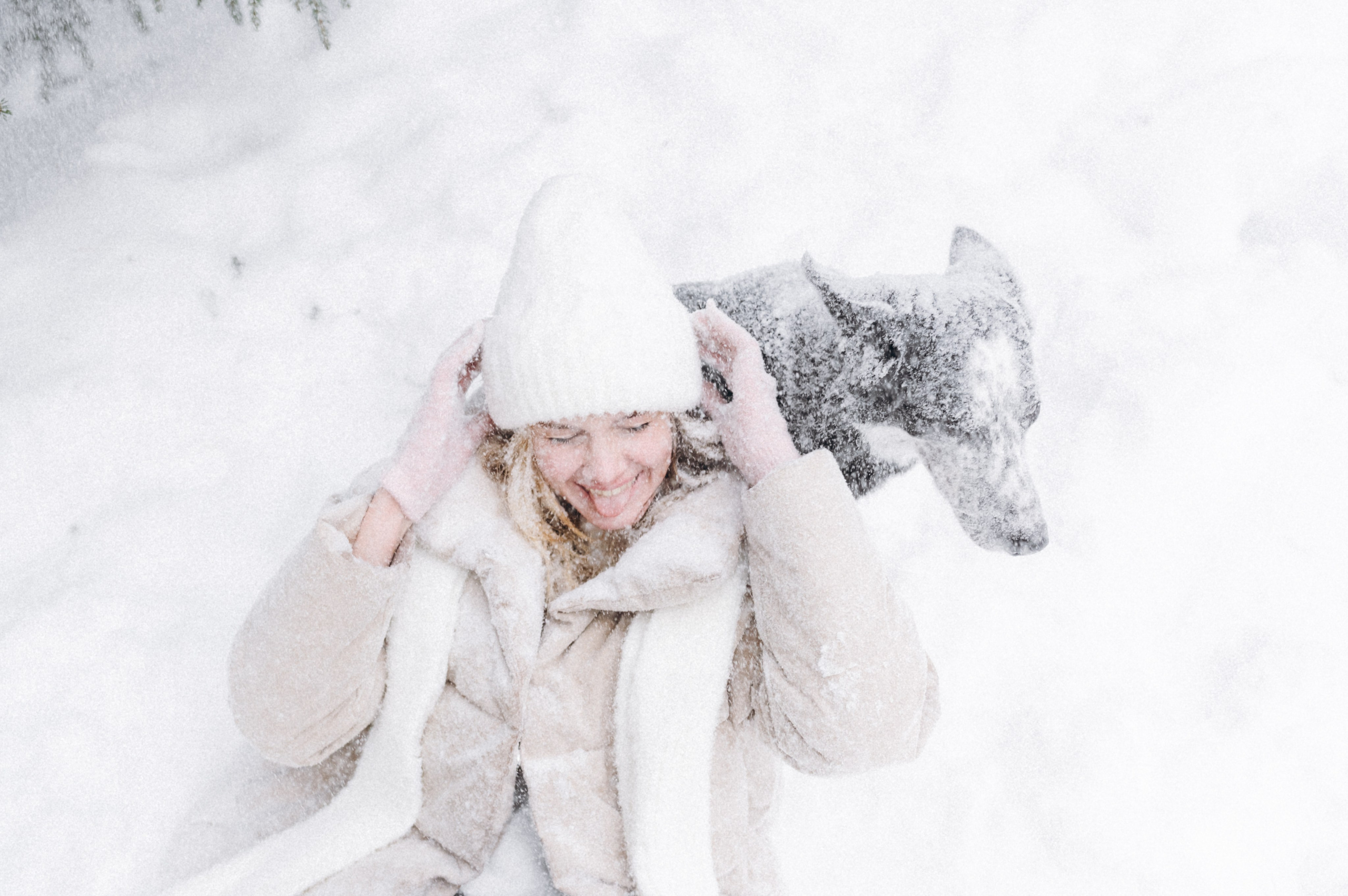 Аня и Милан. Фотограф анималист в Москве Ольга Агушева