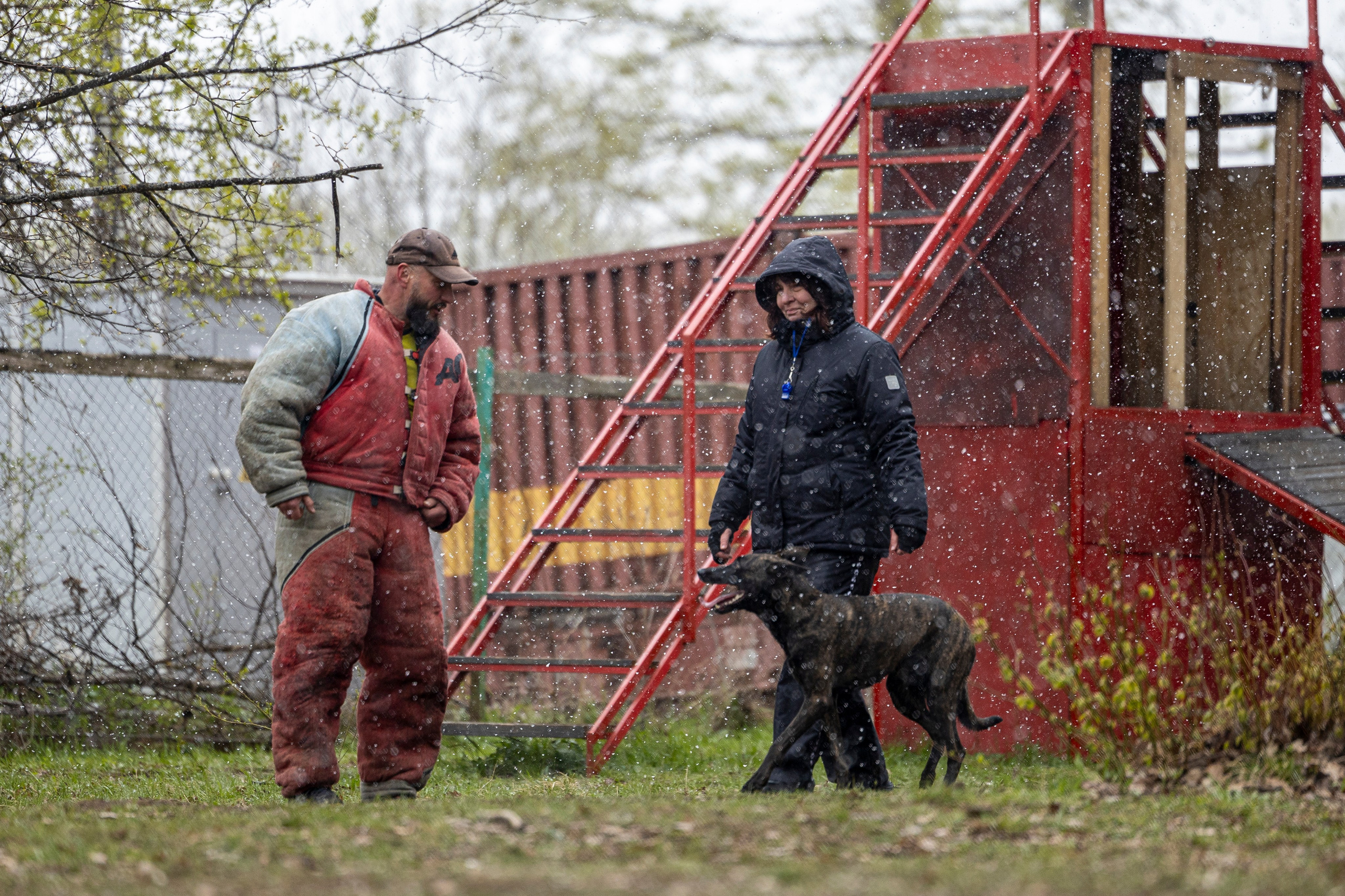 Квалификационные состязания по мондьорингу г. Вологда 11.05.24. Фотограф-анималист Анна Маринич