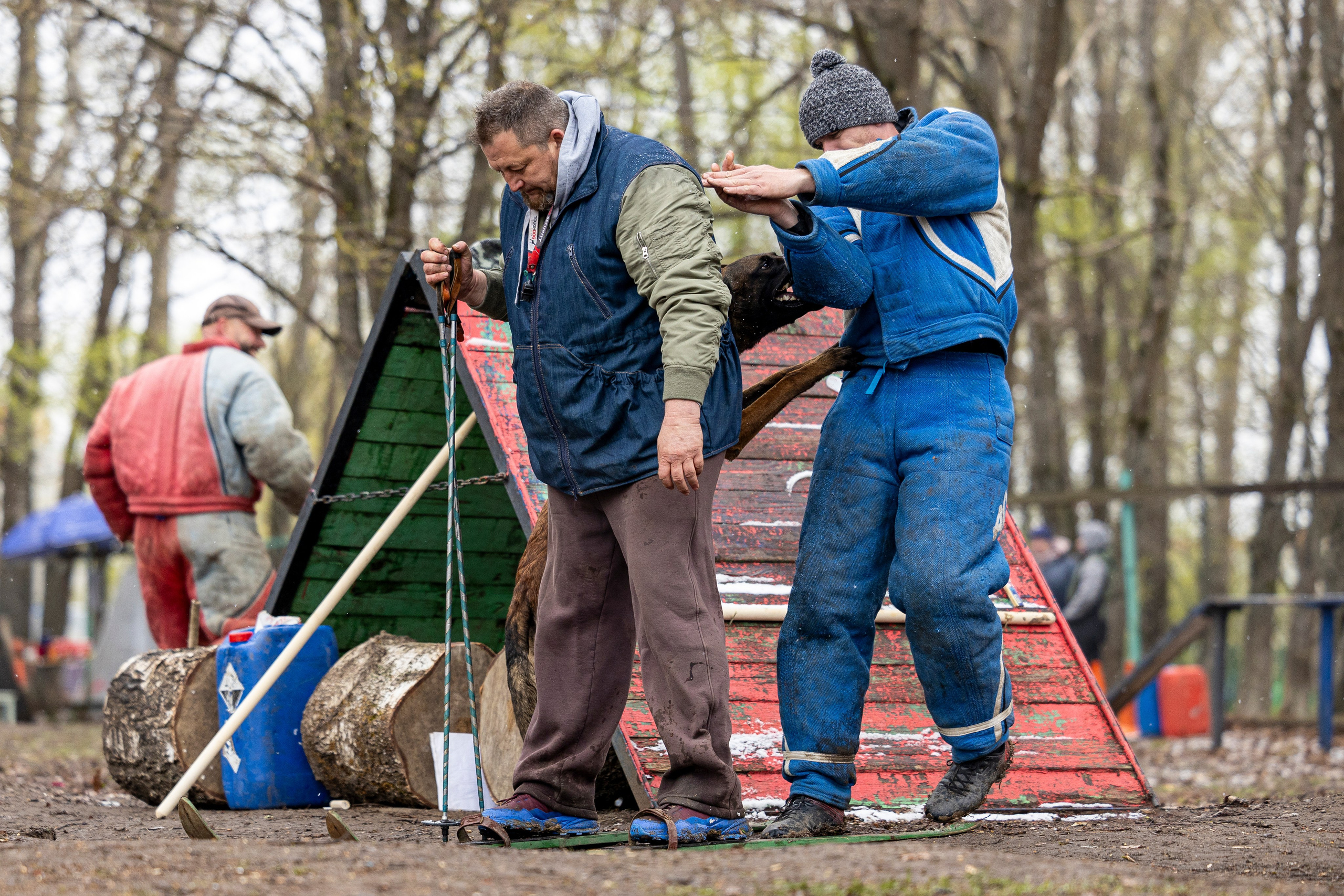 Квалификационные состязания по мондьорингу г. Вологда 11.05.24. Фотограф-анималист Анна Маринич