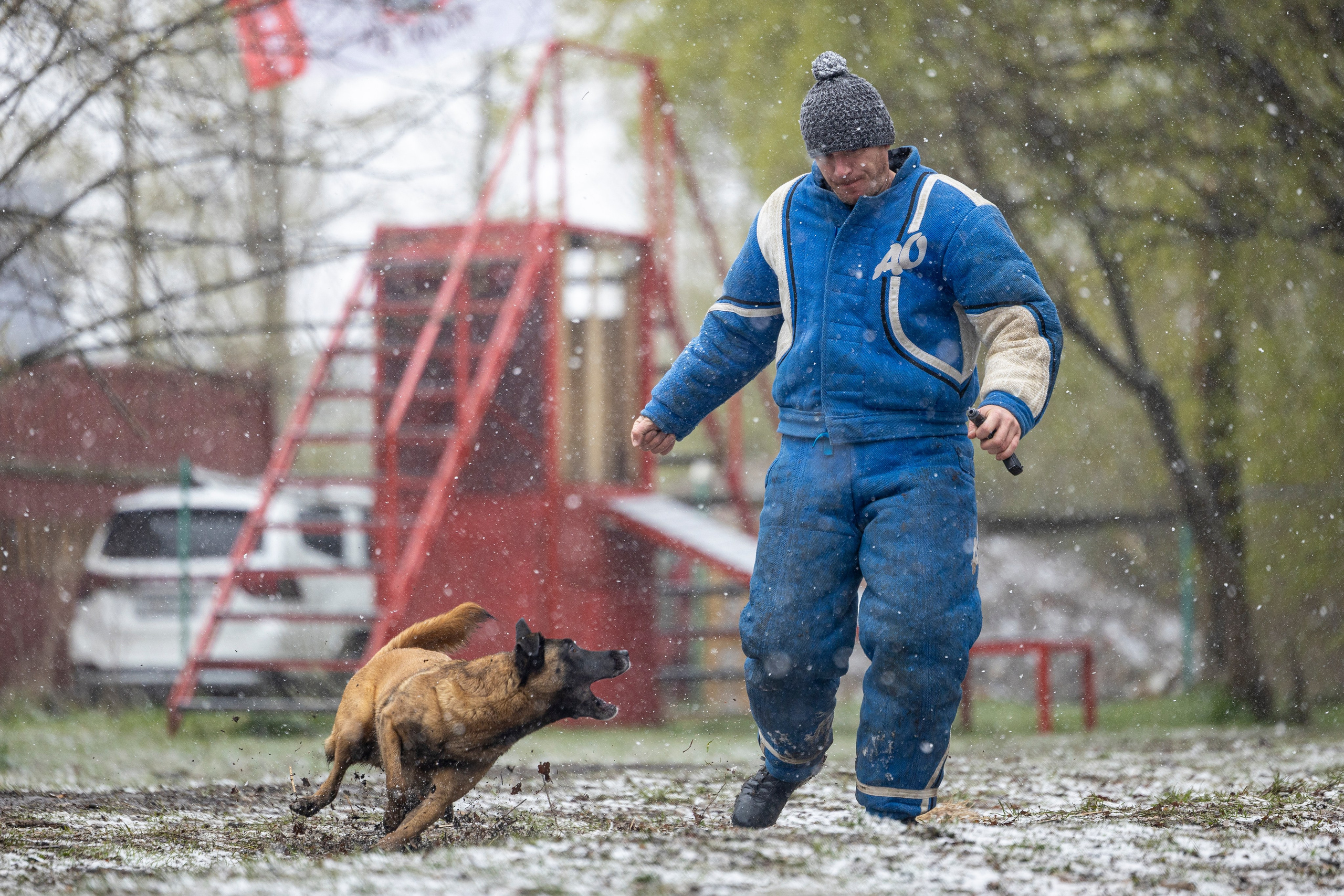 Квалификационные состязания по мондьорингу г. Вологда 11.05.24. Фотограф-анималист Анна Маринич