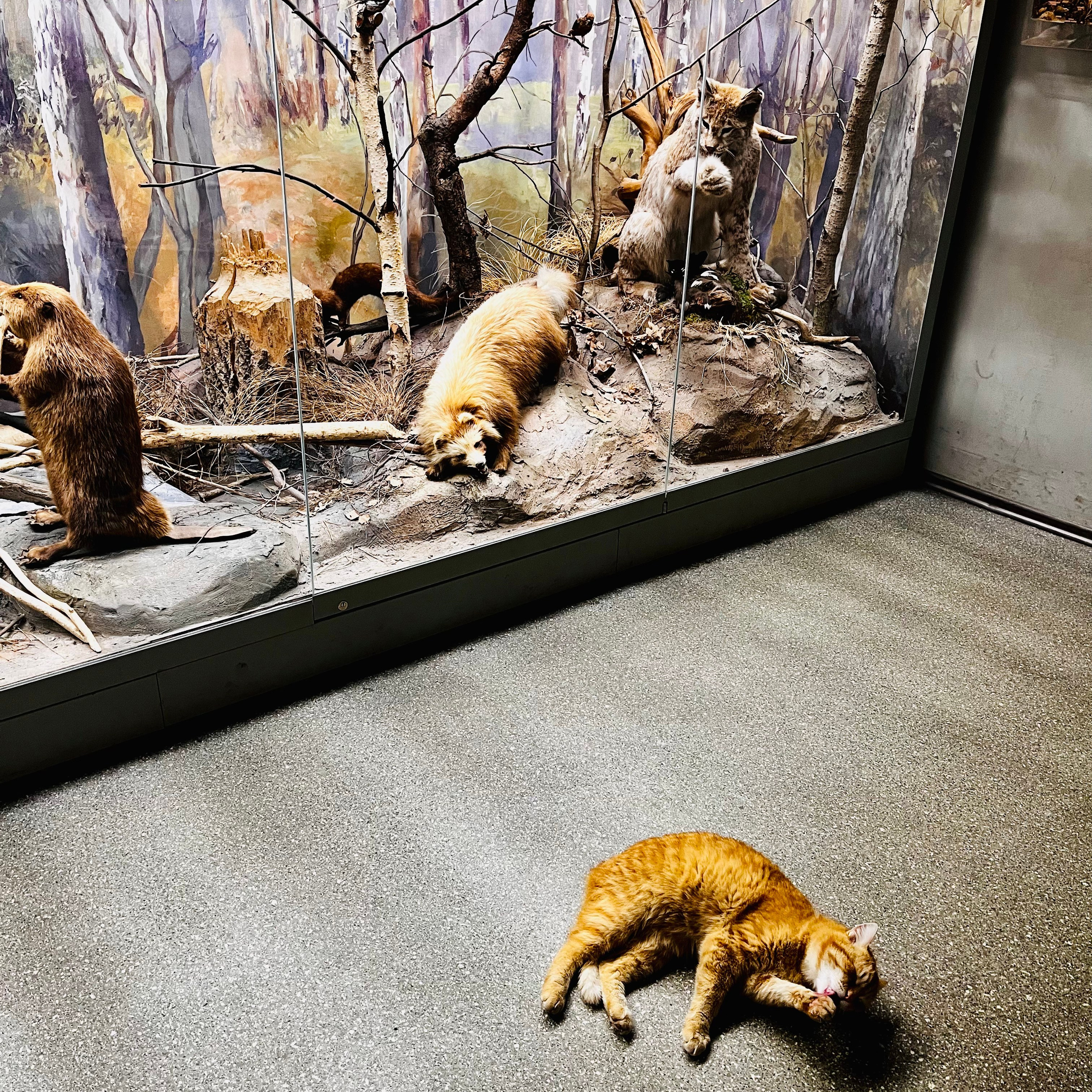 Геометрия, разное. Портретный фотограф в Москве Евгения Яковенко