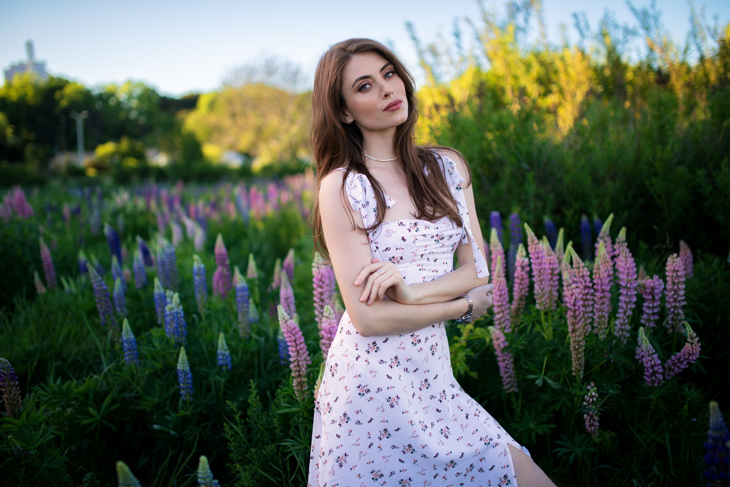 Фотосессия с Надеждой с люпинами в формате «для себя». Дмитрий Шульгин, портретный фотограф в Воронеже