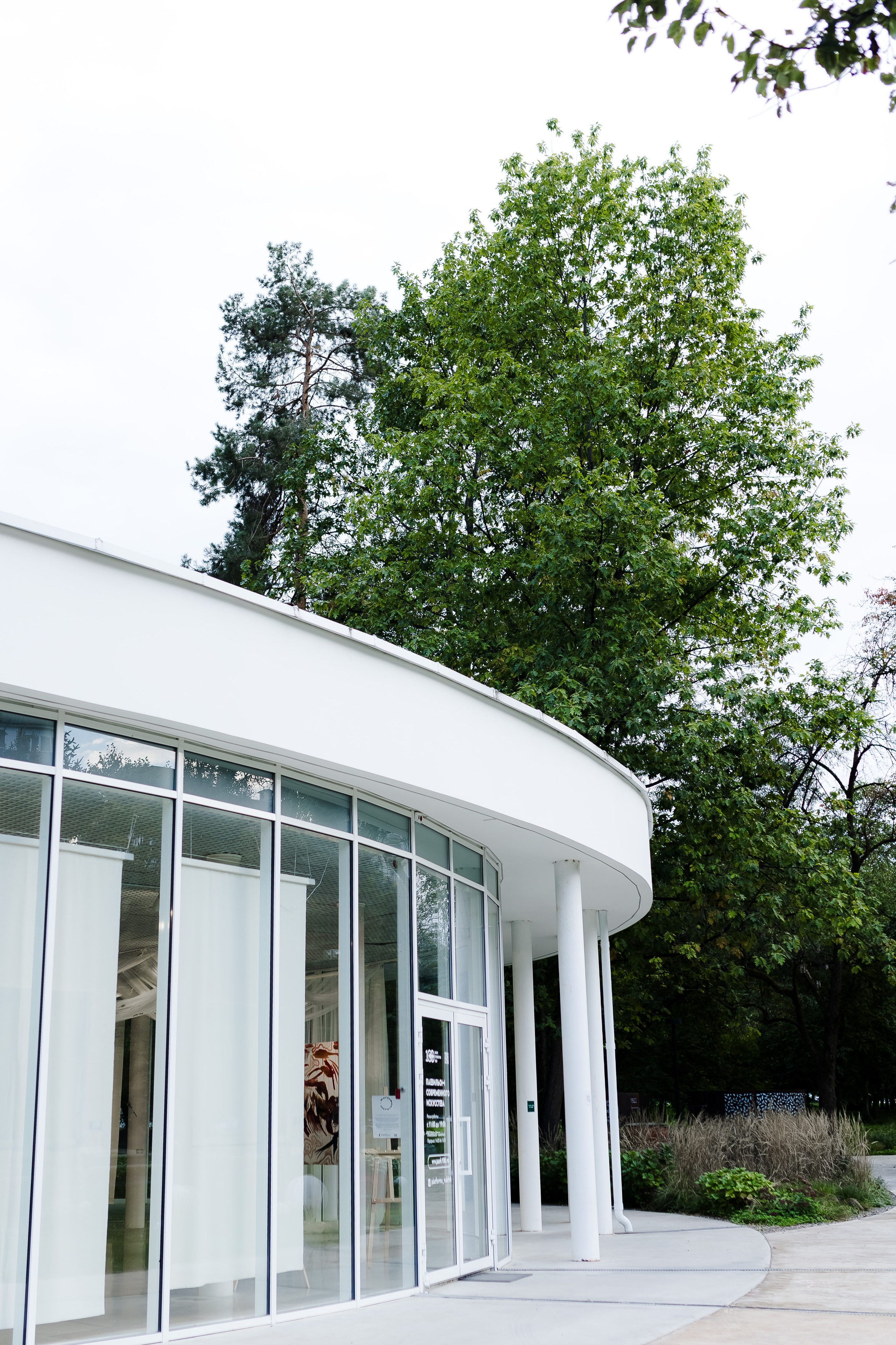 Martemanchello. Главная