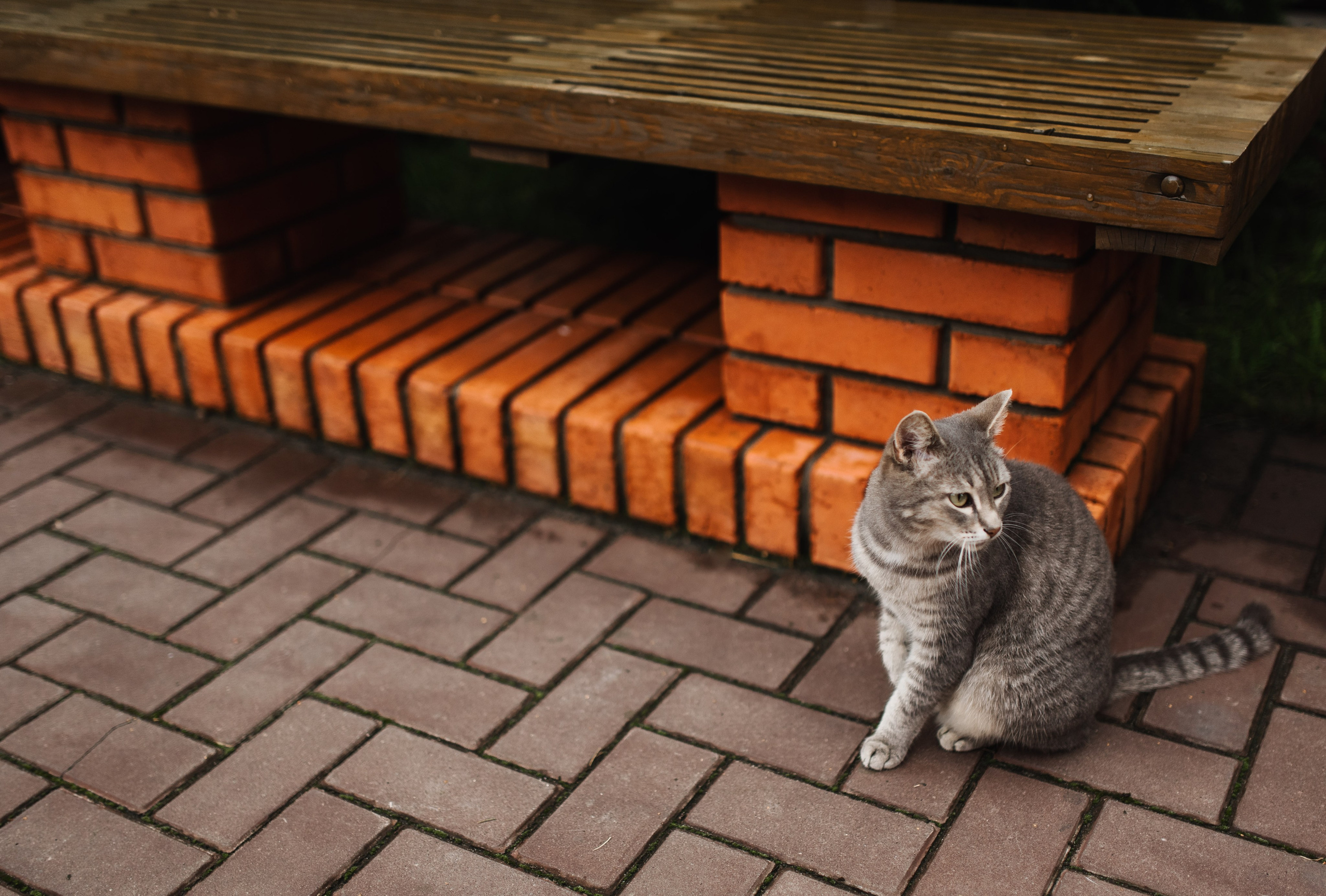 Гаянэ и Роман. Свадебный фотограф Анастасия Бударина