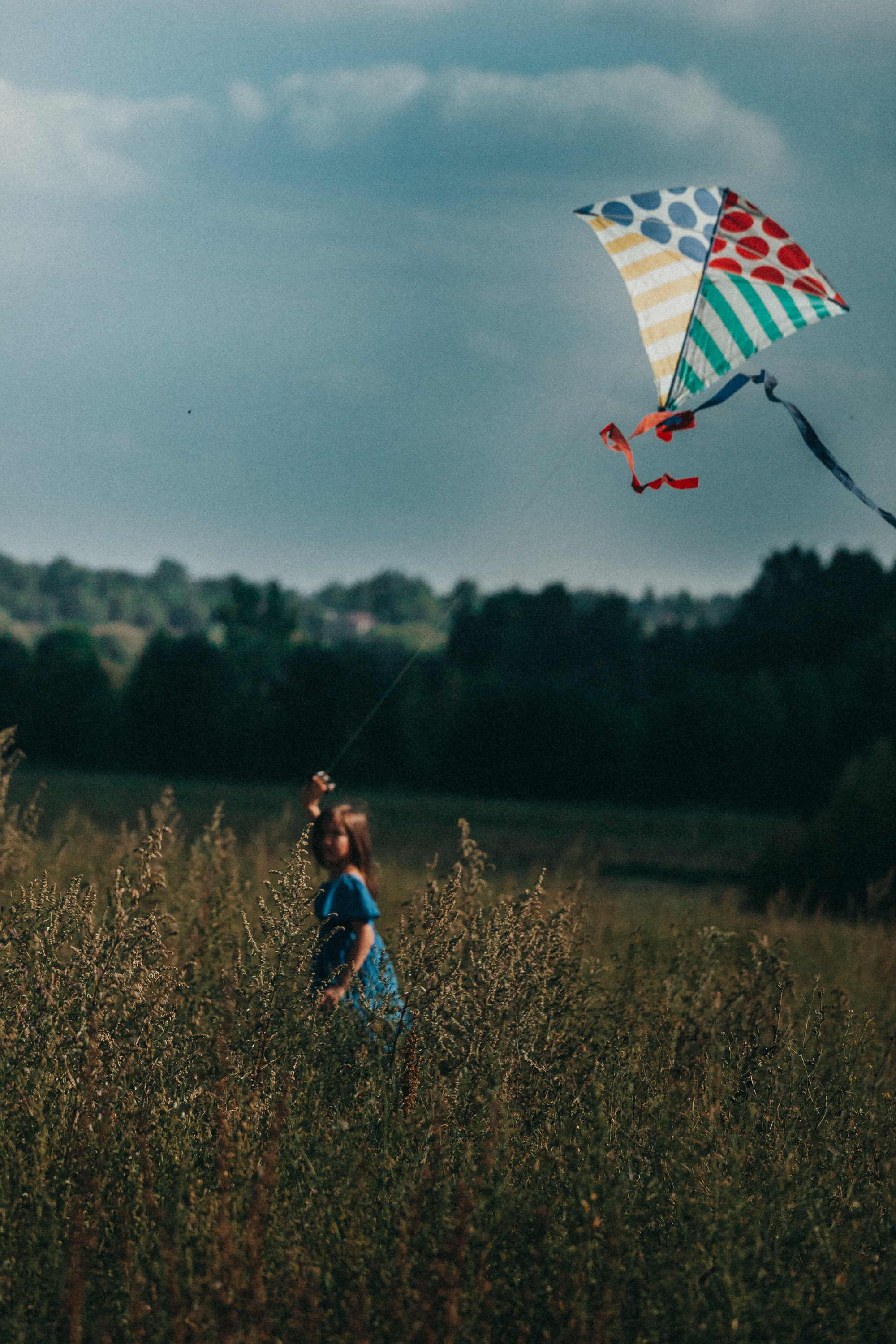 Прогулка в воздушными змеями. Фотограф Москва и область