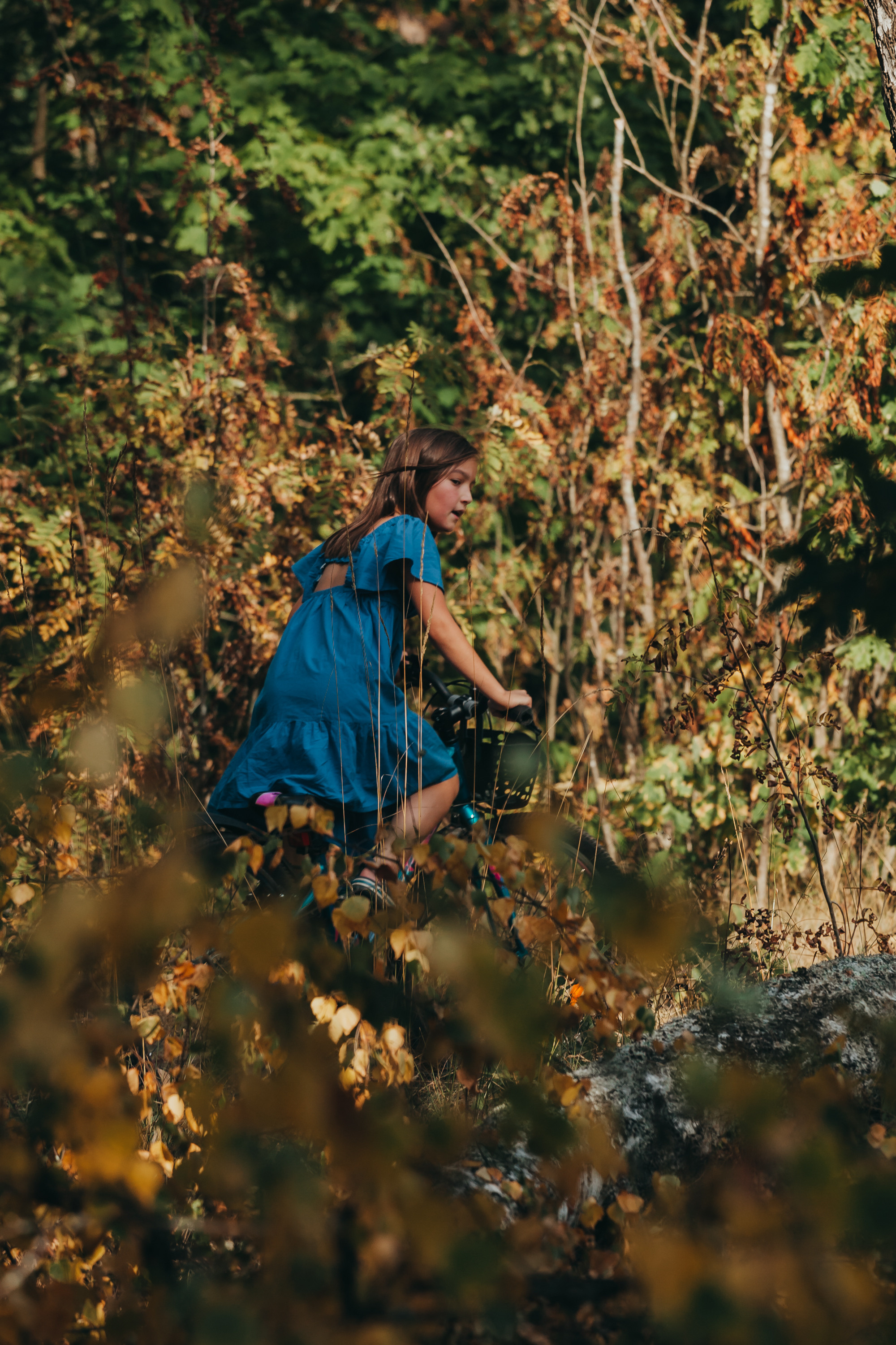 Прогулка в воздушными змеями. Фотограф Москва и область