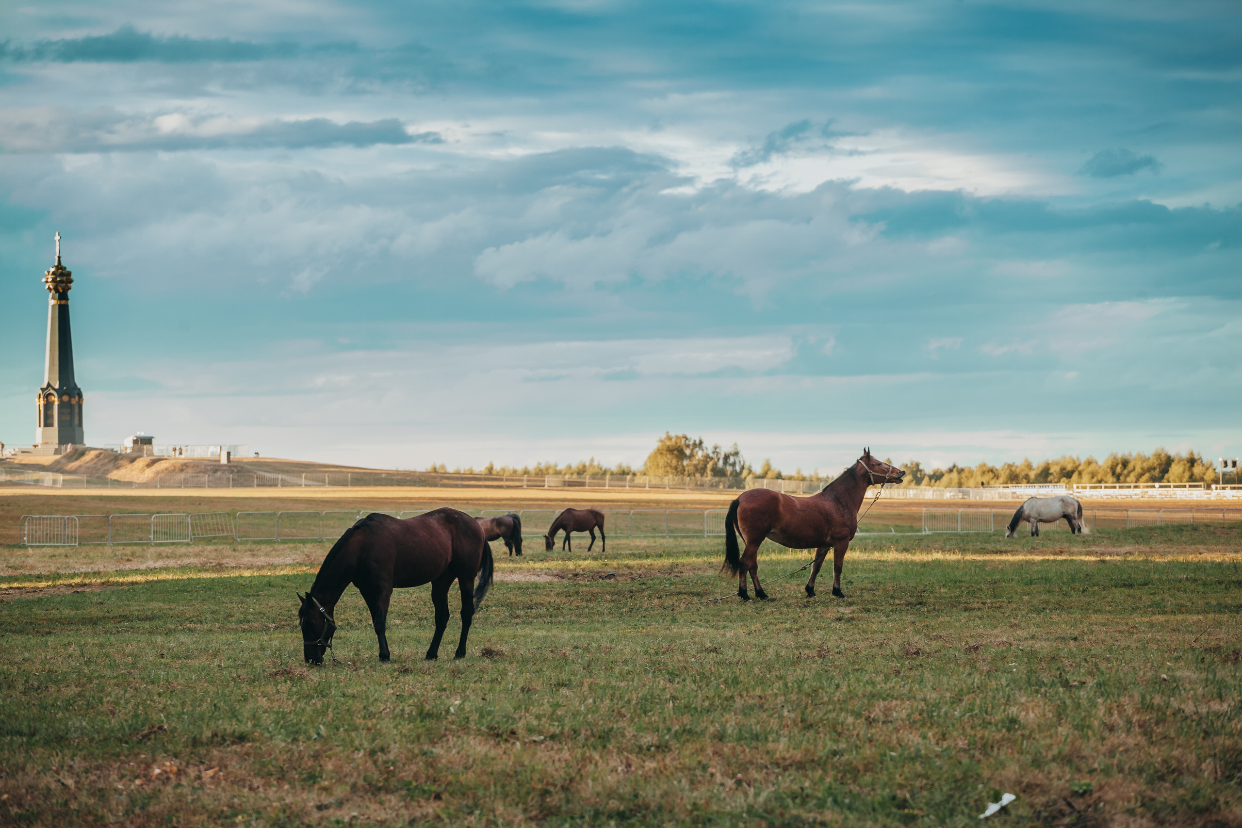 Бородино. Фотограф Москва и область