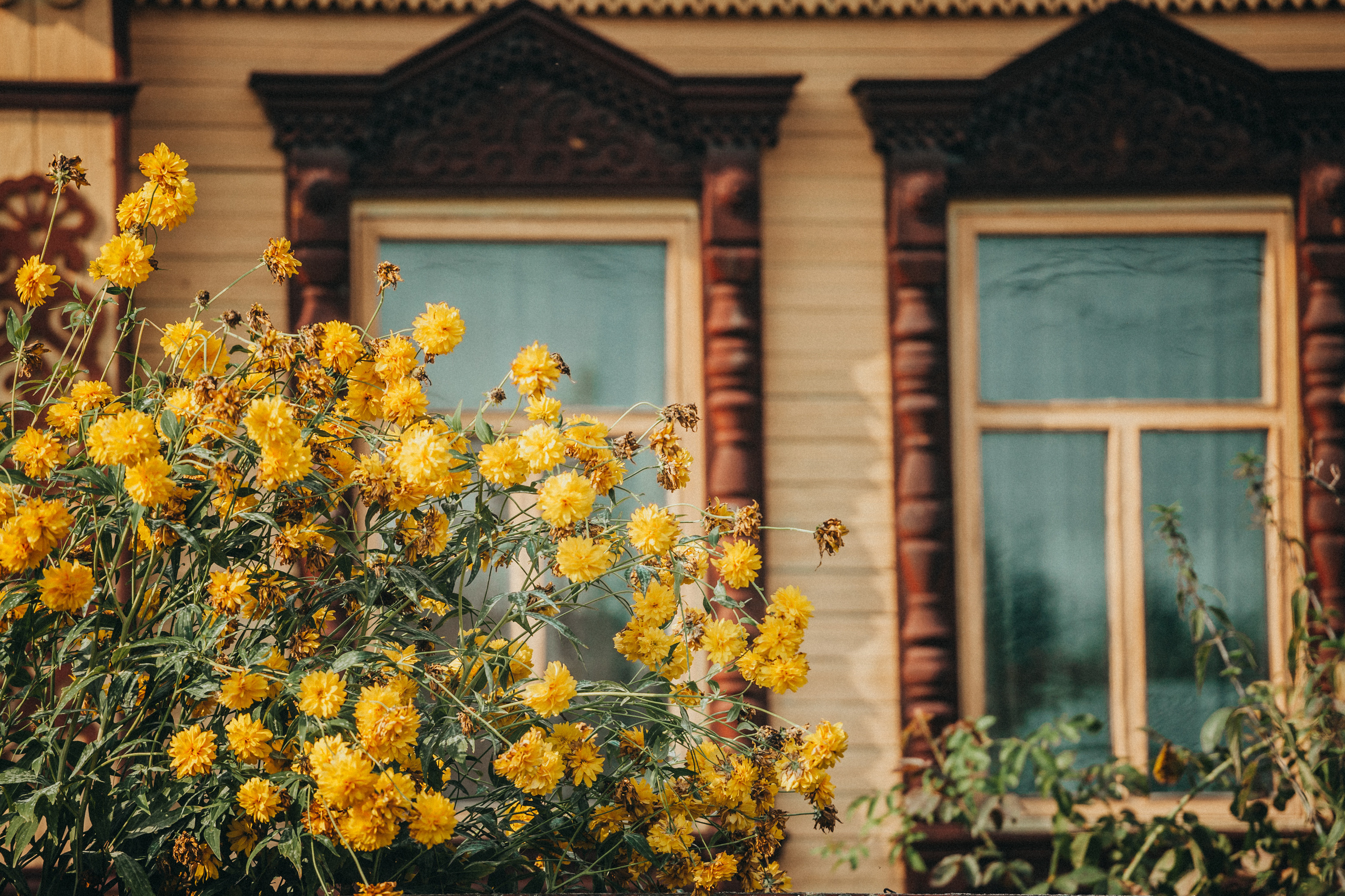 Деревенское. Фотограф Москва и область