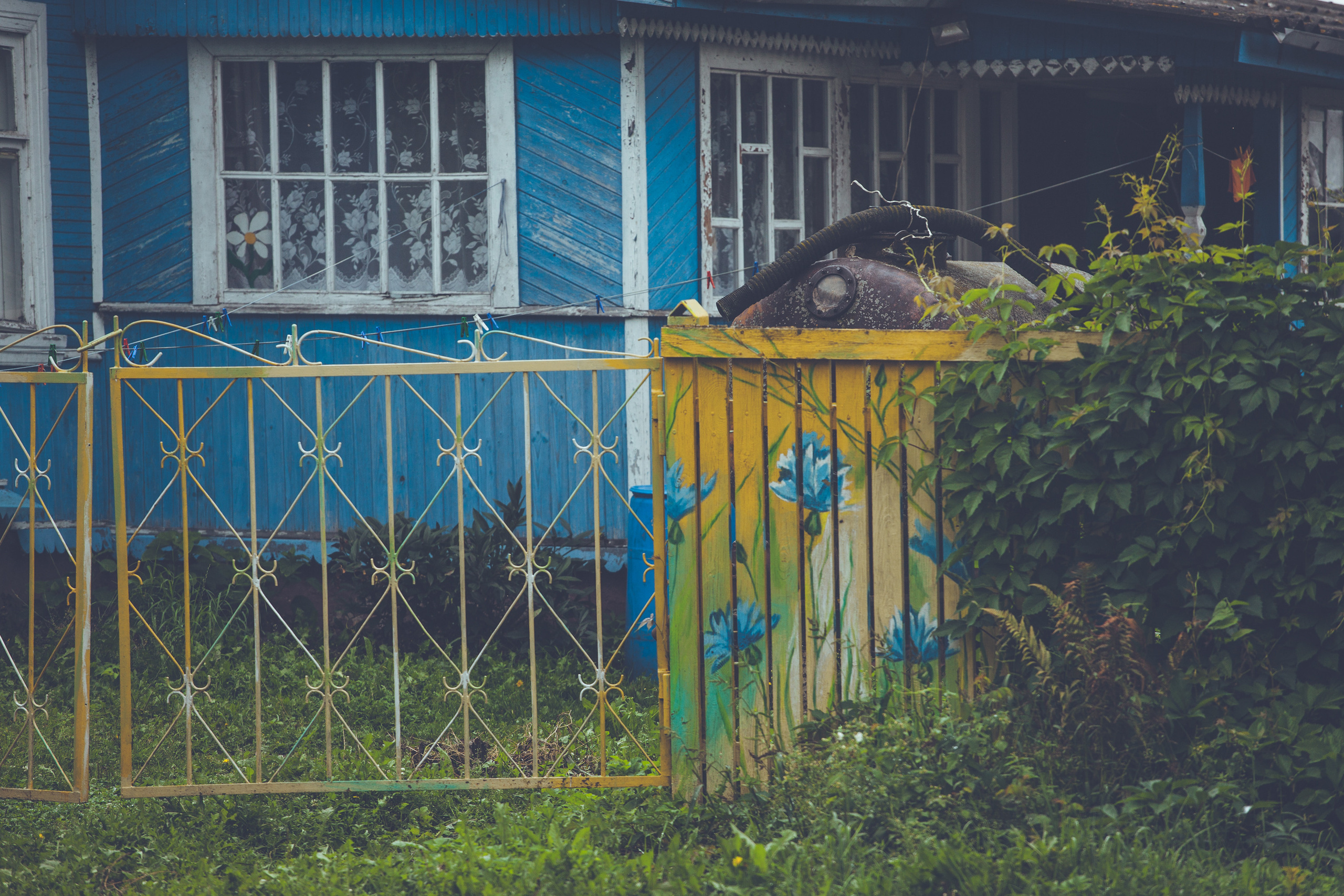 Деревенское. Фотограф Москва и область