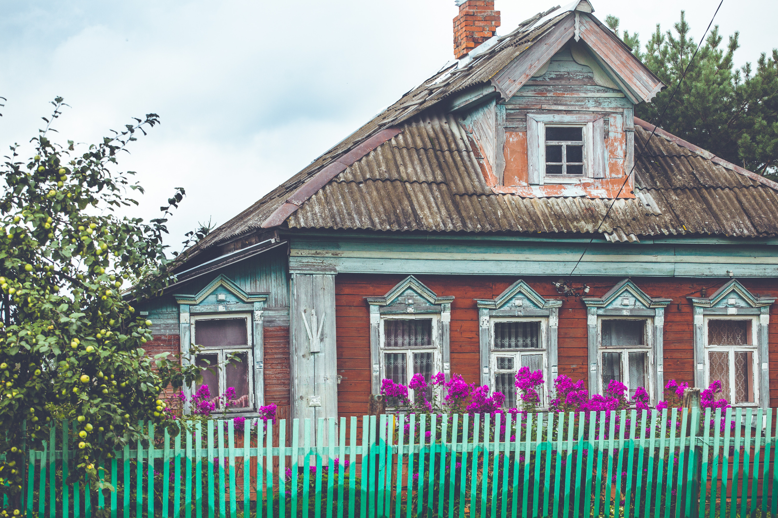 Деревенское. Фотограф Москва и область