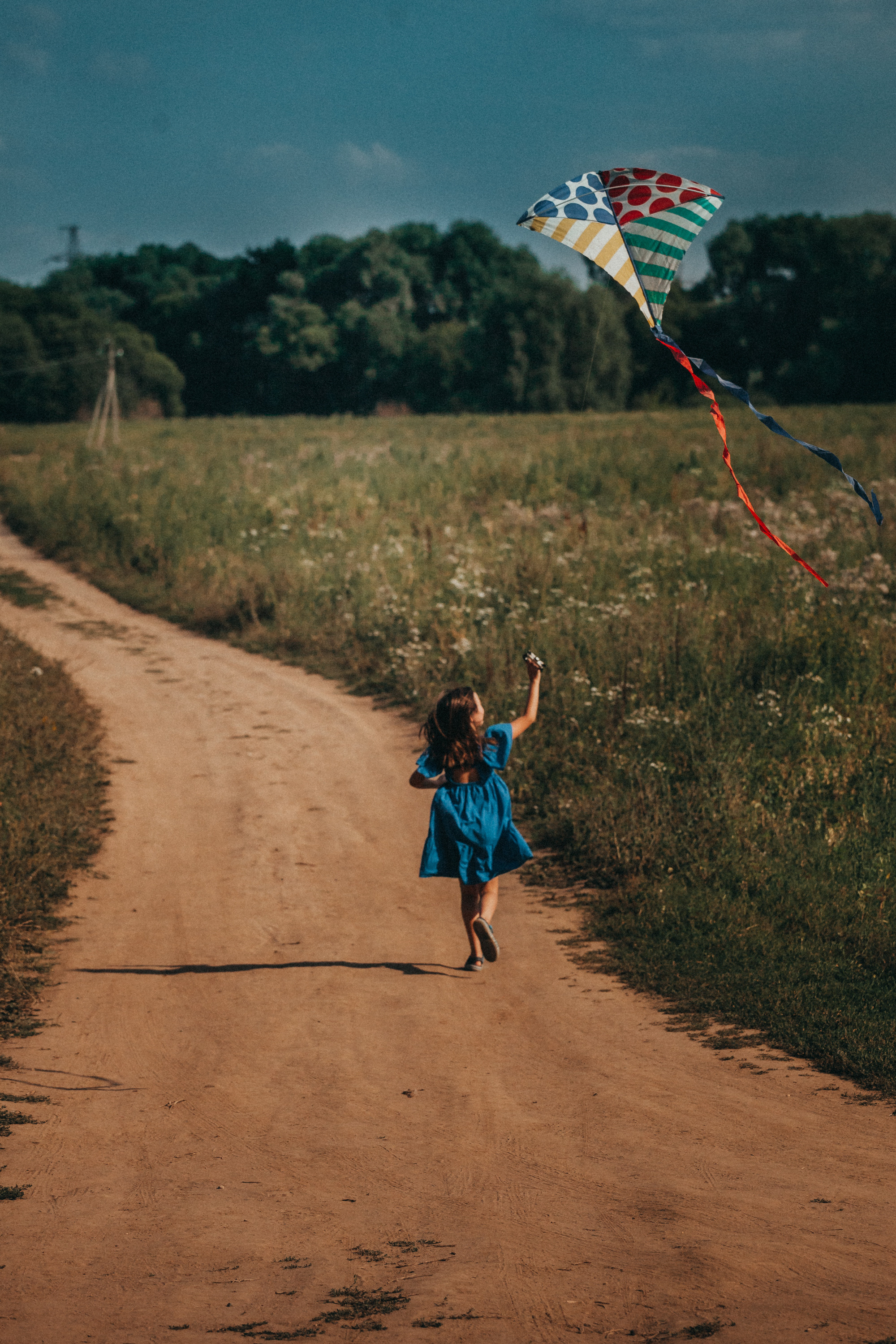 Прогулка в воздушными змеями. Фотограф Москва и область