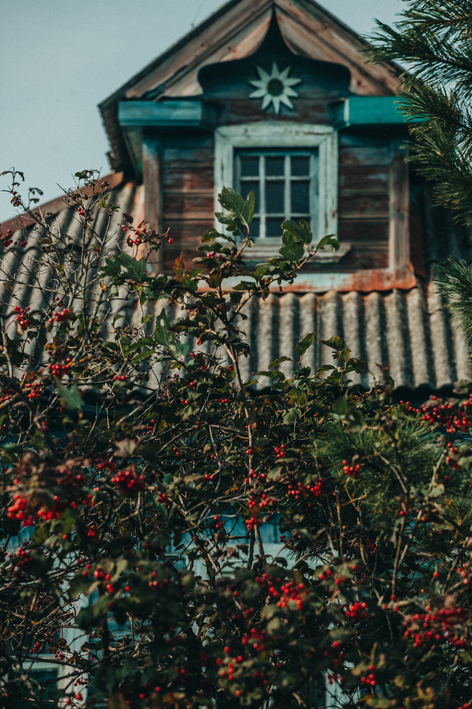 Деревенское. Фотограф Москва и область