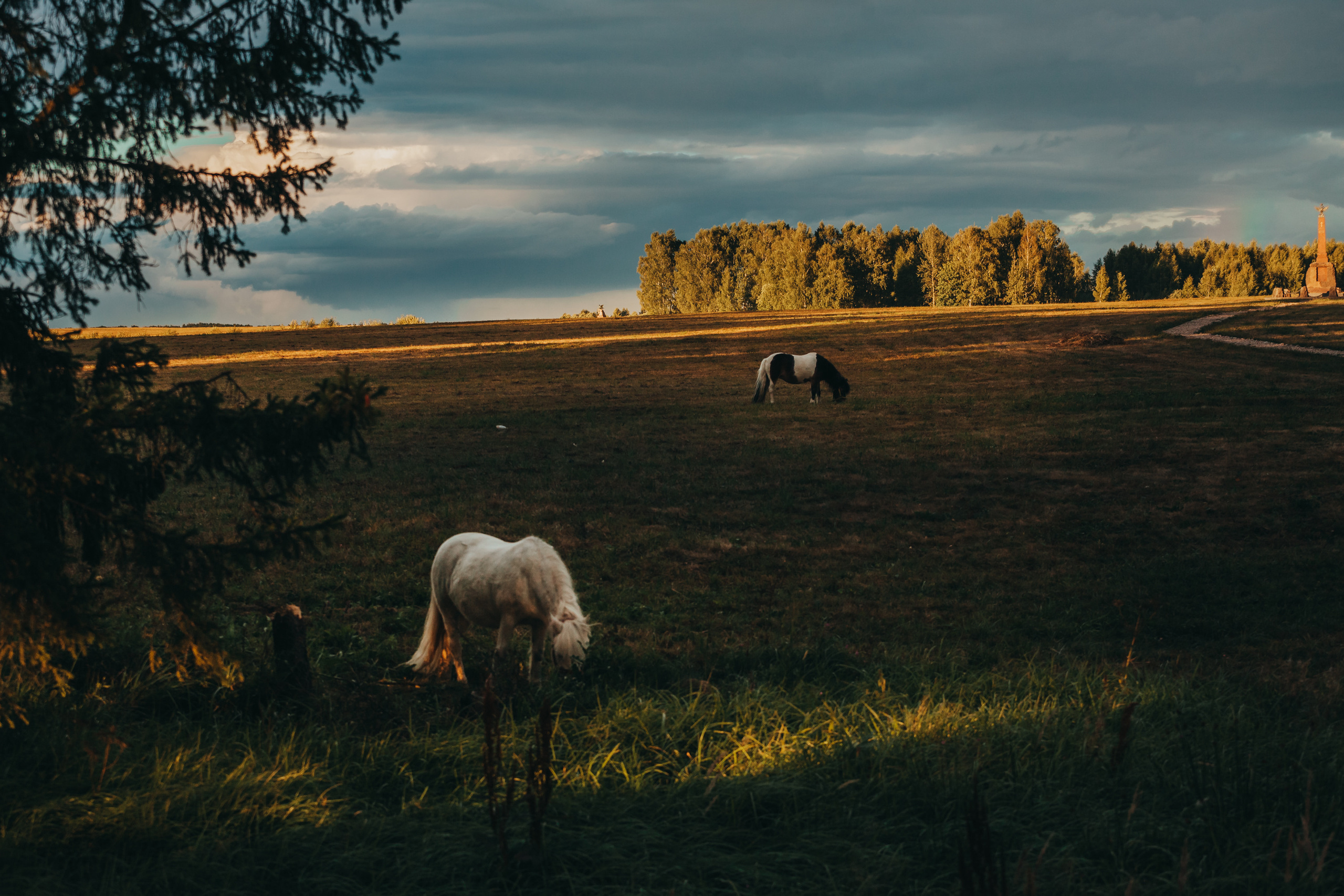 Бородино. Фотограф Москва и область