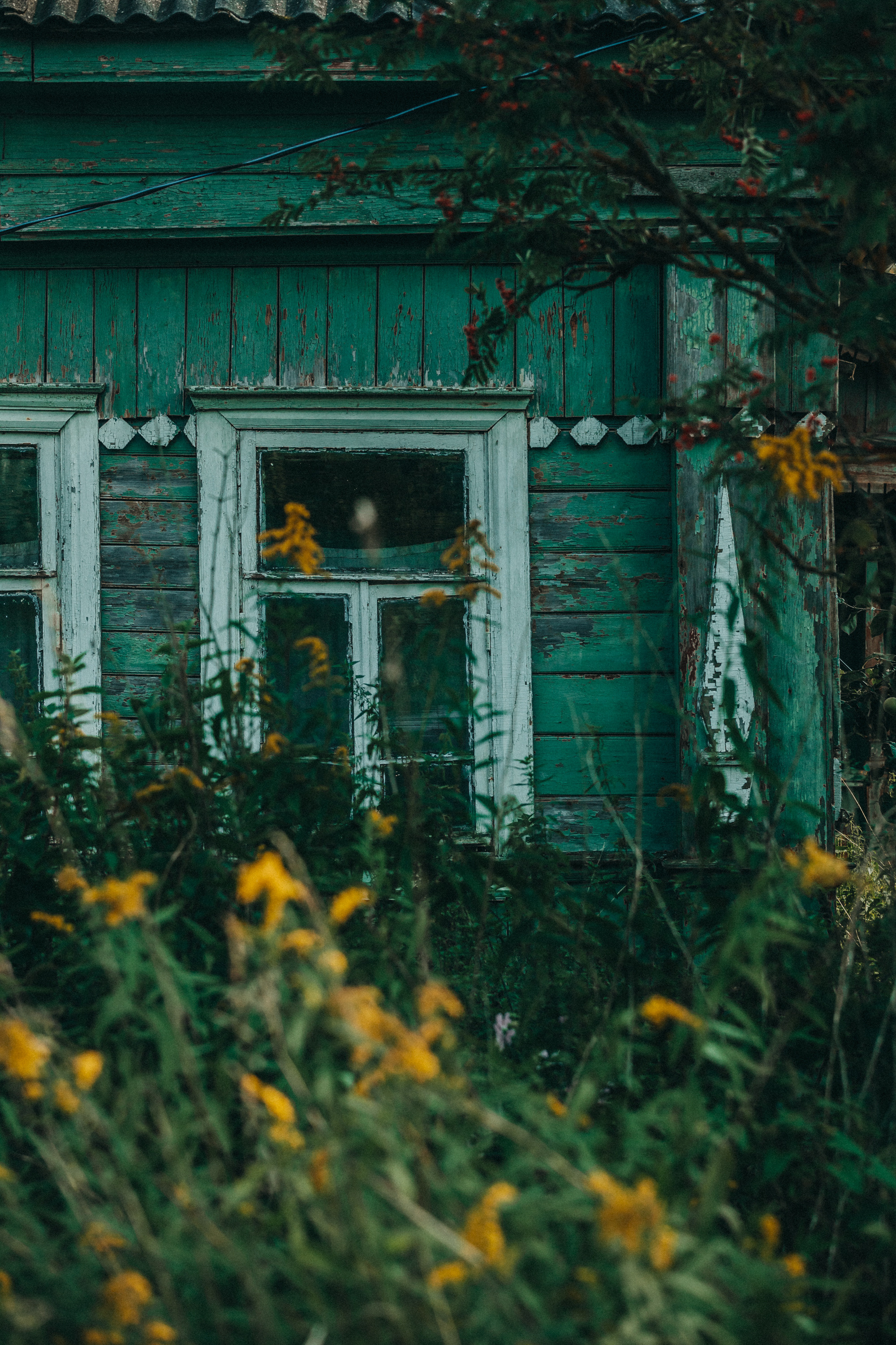 Деревенское. Фотограф Москва и область