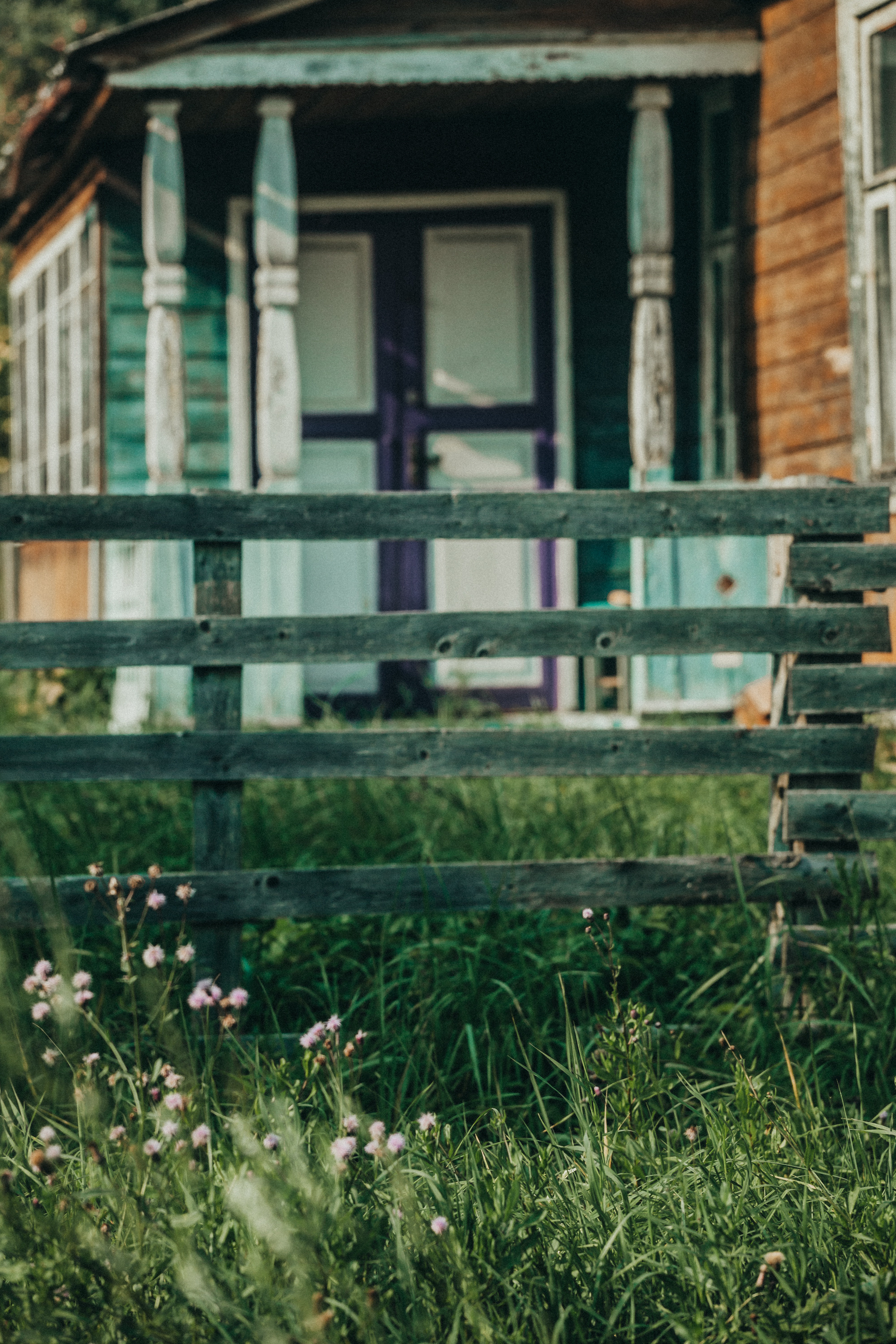 Деревенское. Фотограф Москва и область