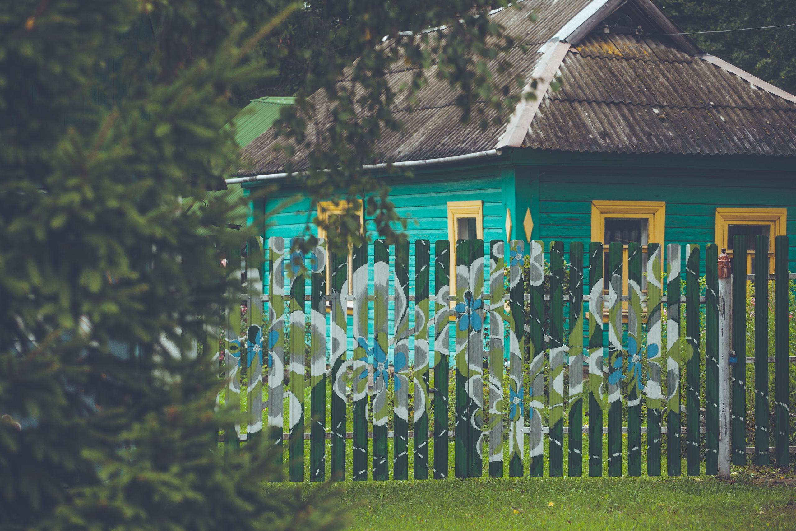 Деревенское. Фотограф Москва и область