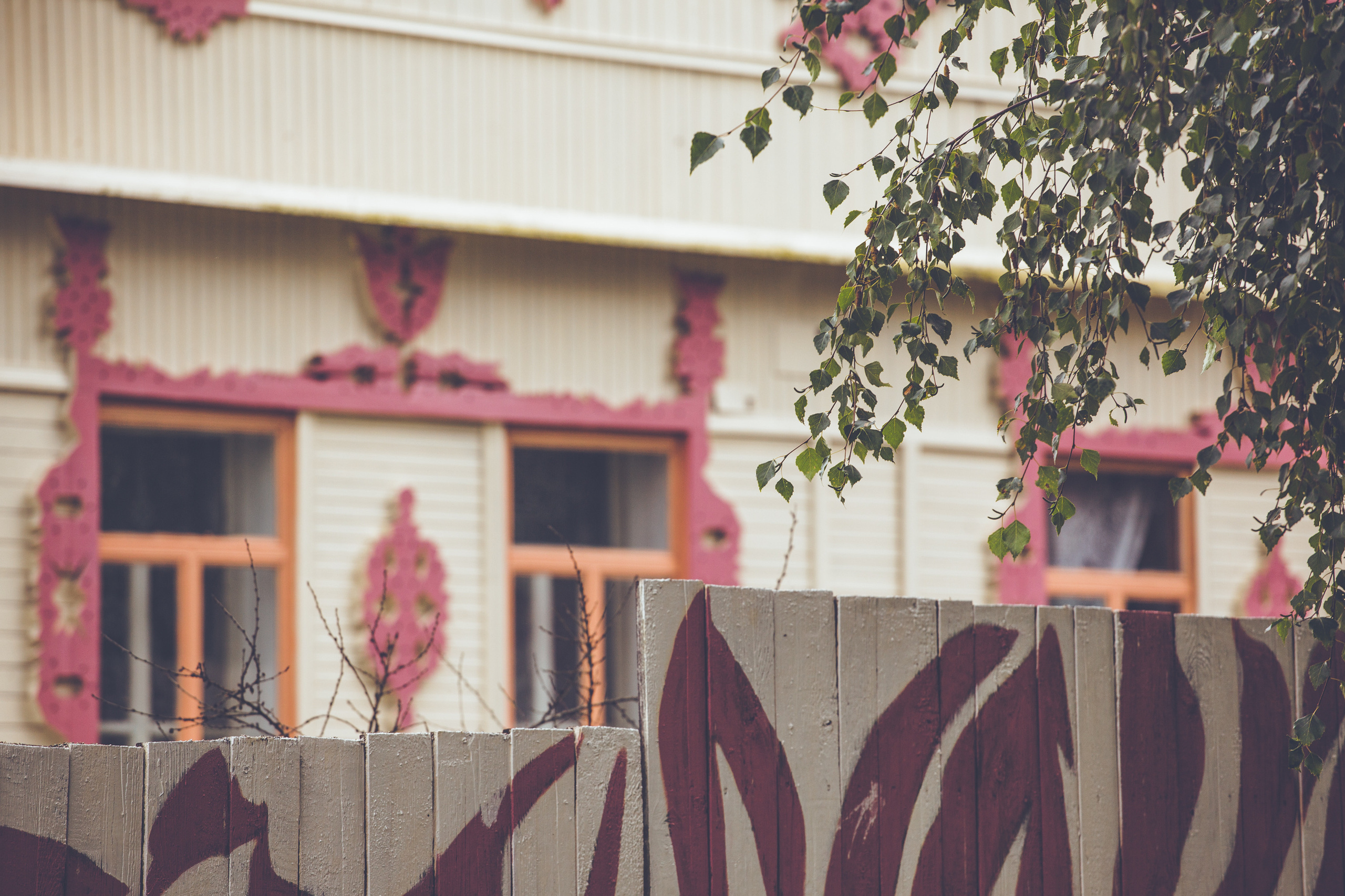 Деревенское. Фотограф Москва и область