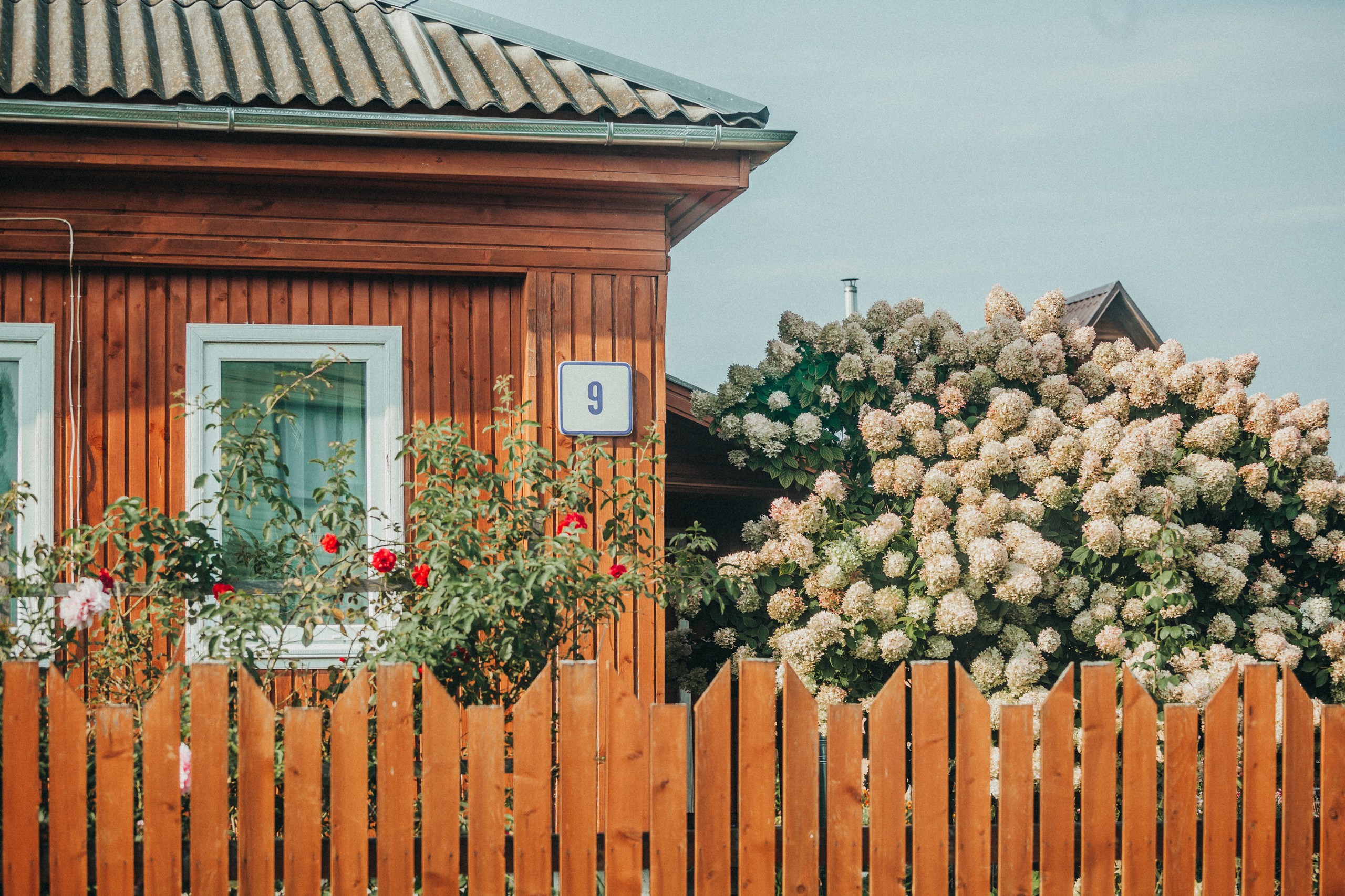 Деревенское. Фотограф Москва и область