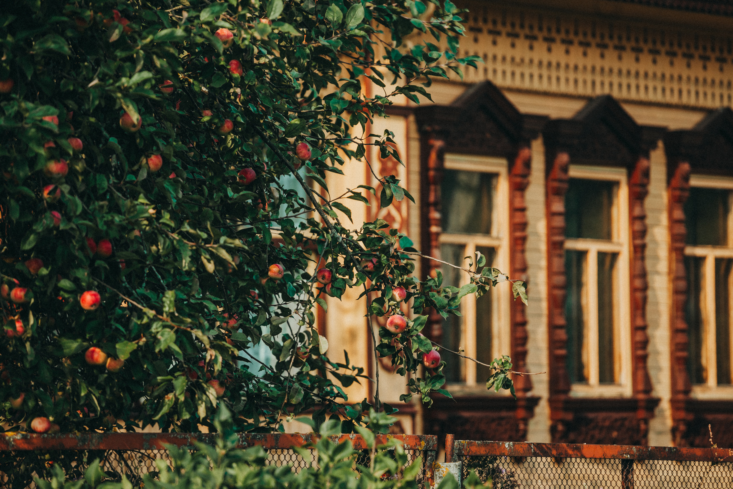 Деревенское. Фотограф Москва и область