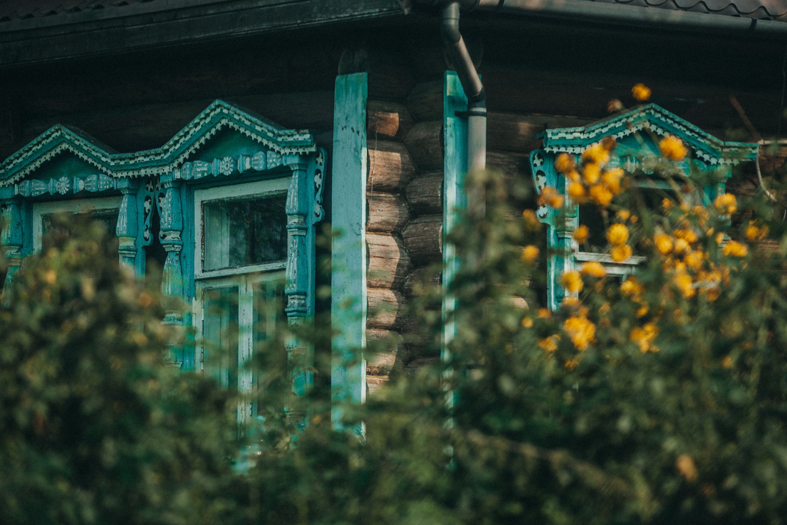 Деревенское. Фотограф Москва и область