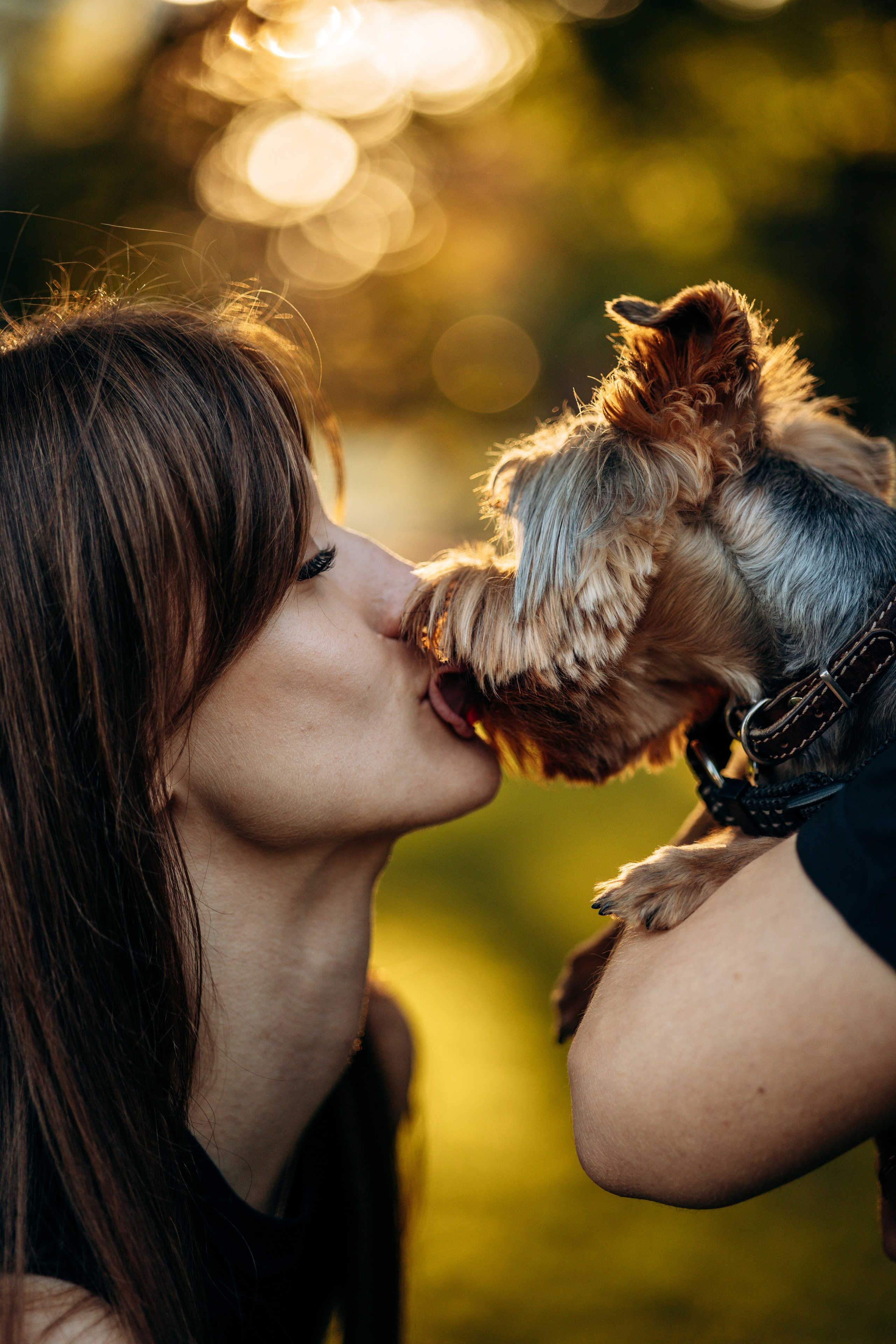 Филя и его семья. Фотограф — Анималист | Санкт-Петербург