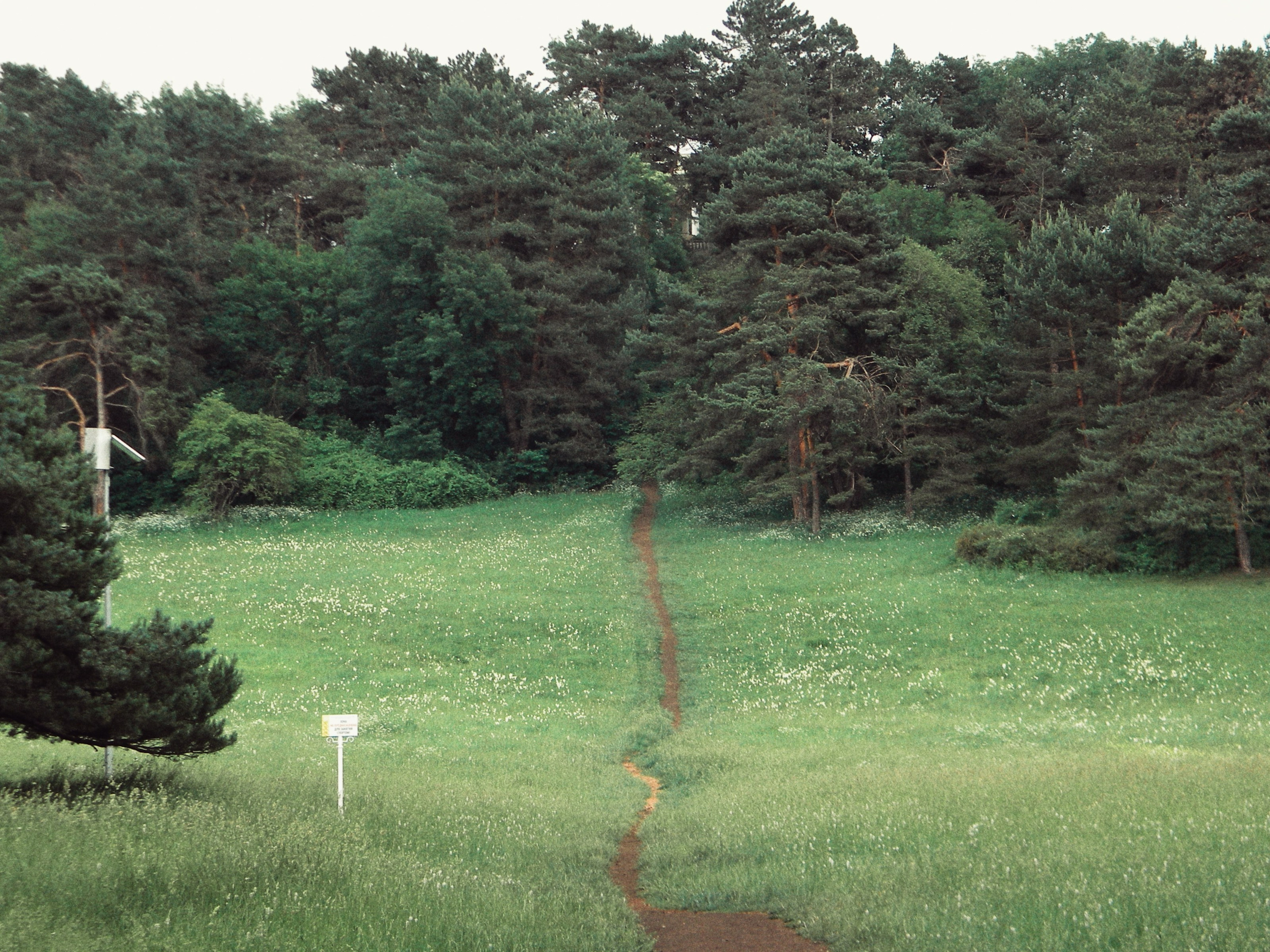 Пейзажи. By Анастасия Сигута