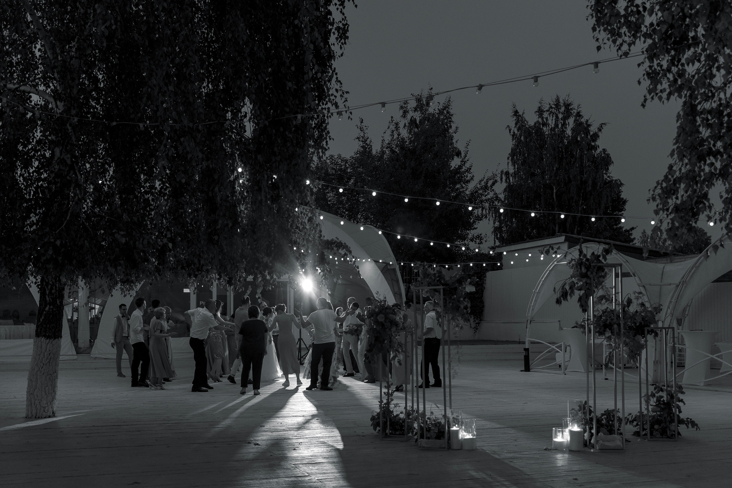 Wedding Д&Т. Свадебный фотограф в Москве