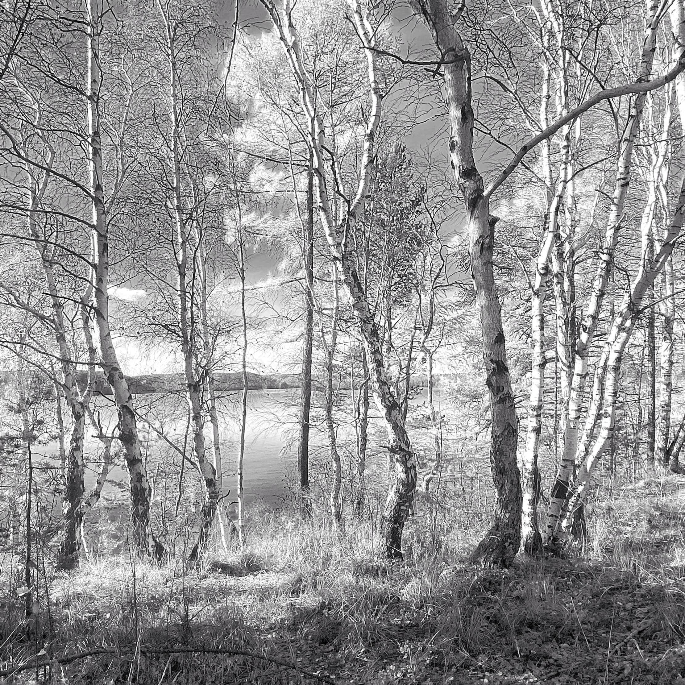 2025 год. Тащилин Сергей. Фотографии. Жизнь. Хобби