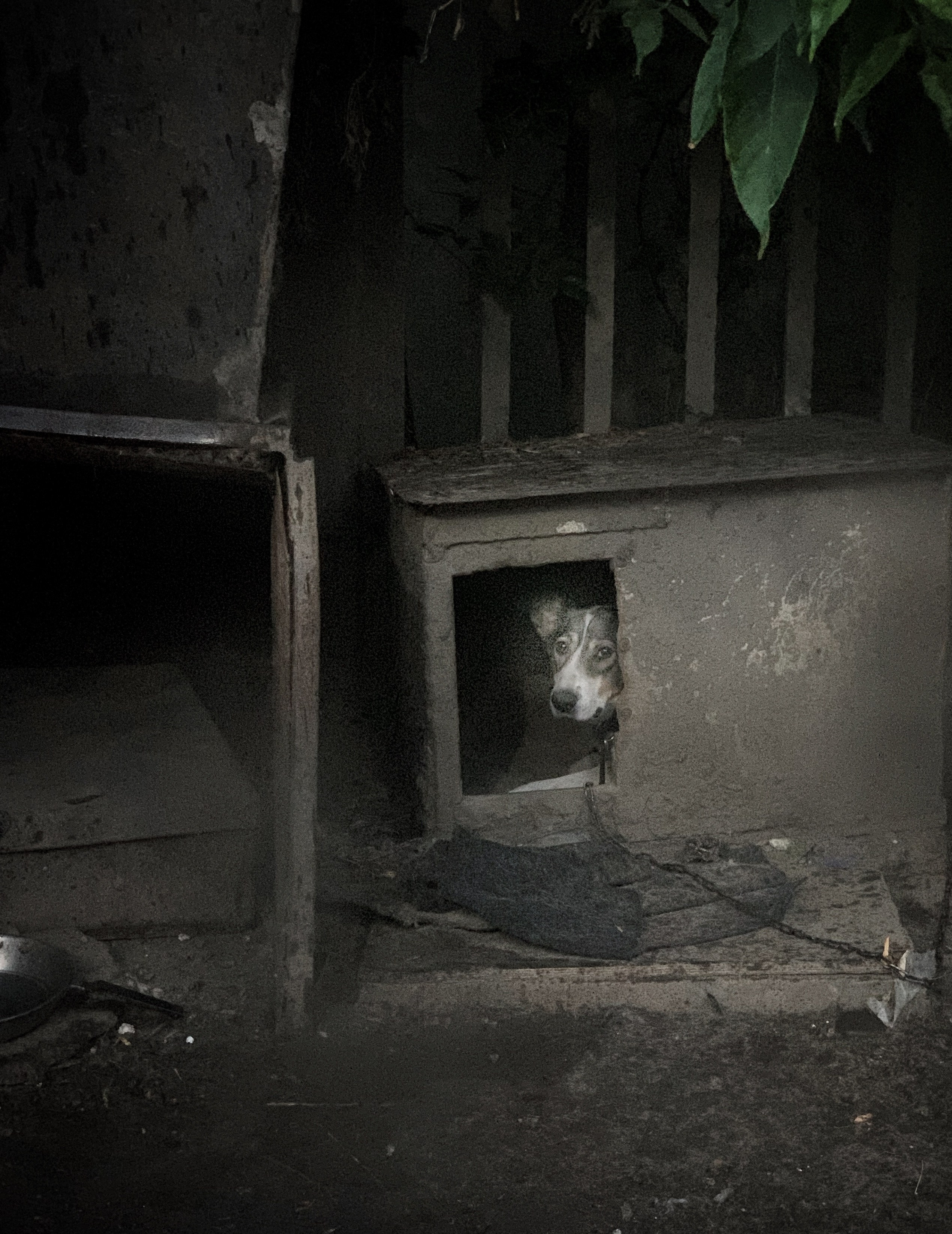 2020. Тащилин Сергей. Фотографии. Жизнь. Хобби