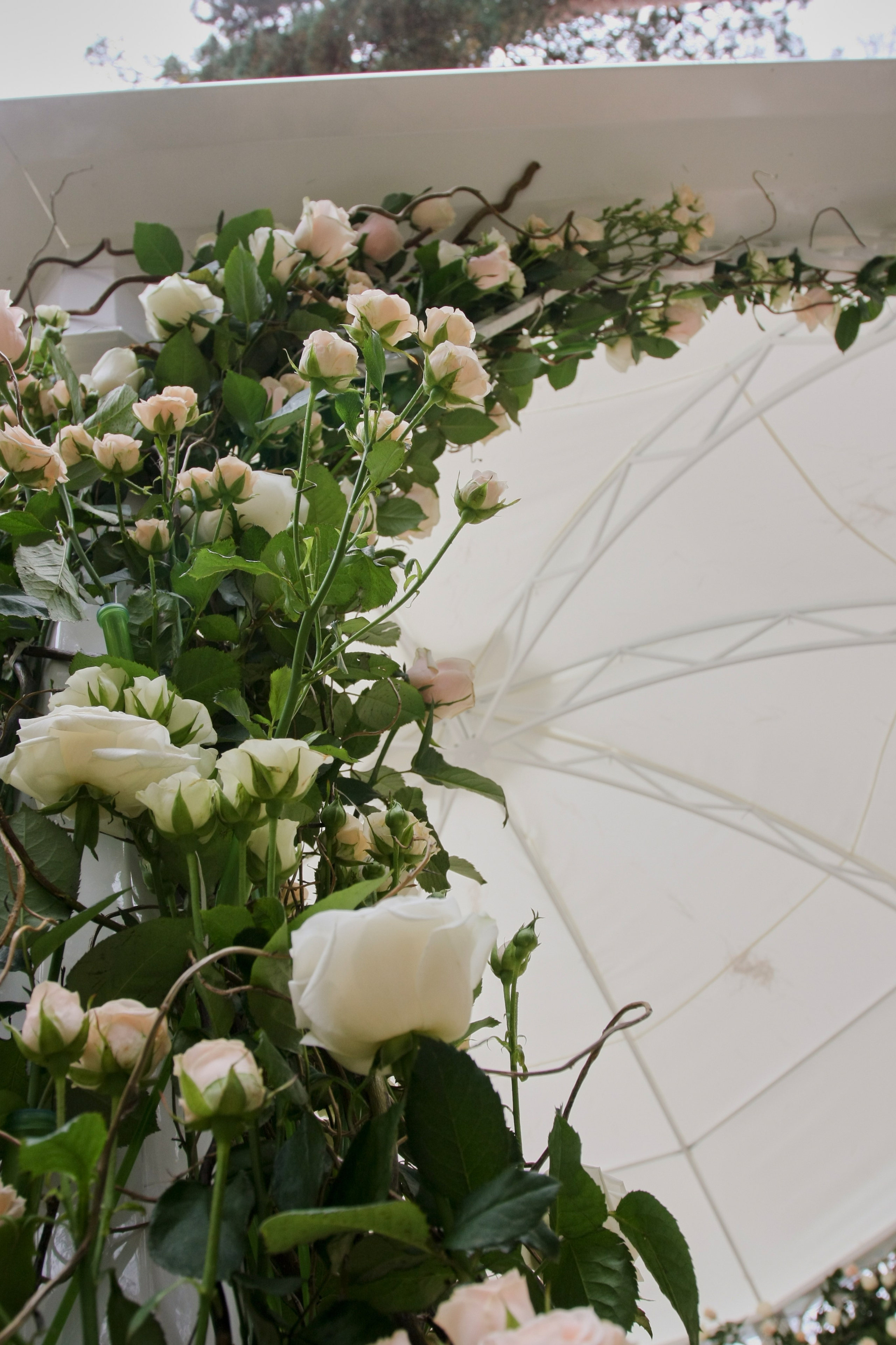 Оформление торжеств. Декоратор Флорист в Тольятти, Самаре, Москве