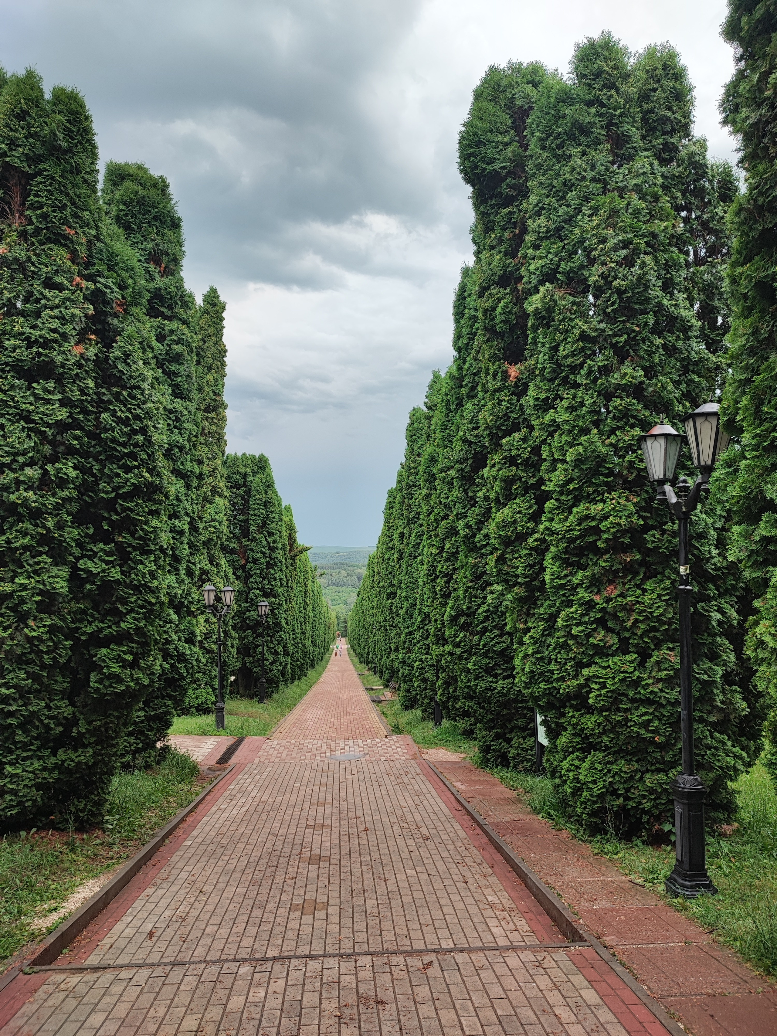 Намобилкус кавказский. Репортажный фотограф Алексей Пирязев