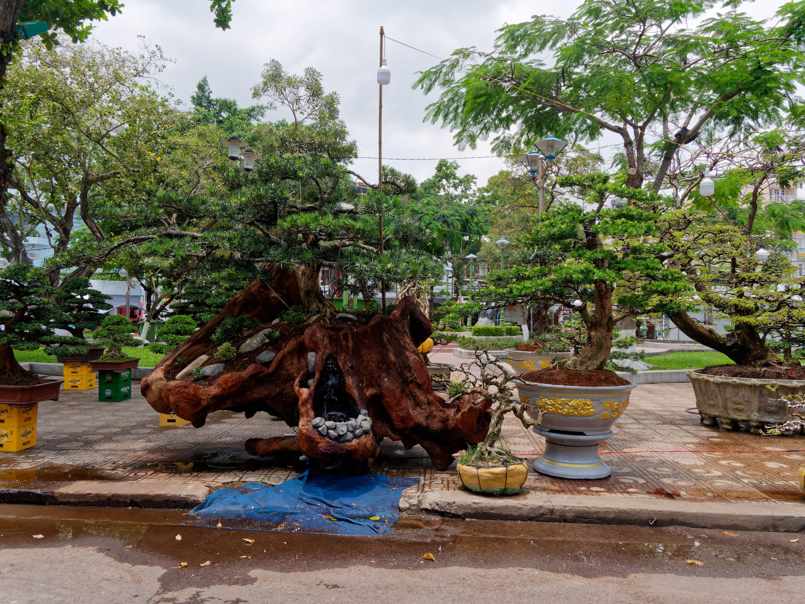 Нячанг 2025 (7). Избранные фотографии