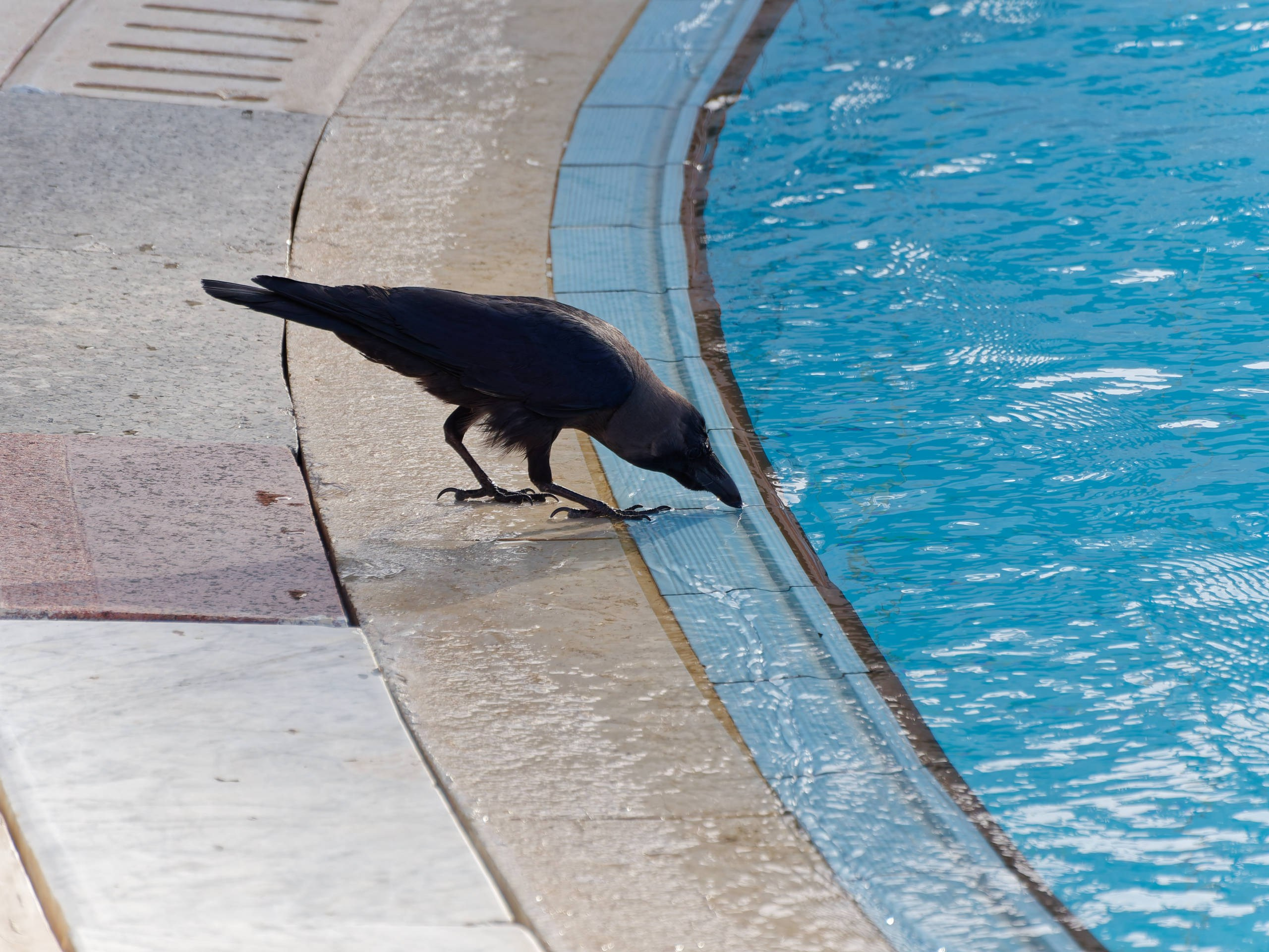 Шарм-эль-Шейх 2022 (2). Избранные фотографии