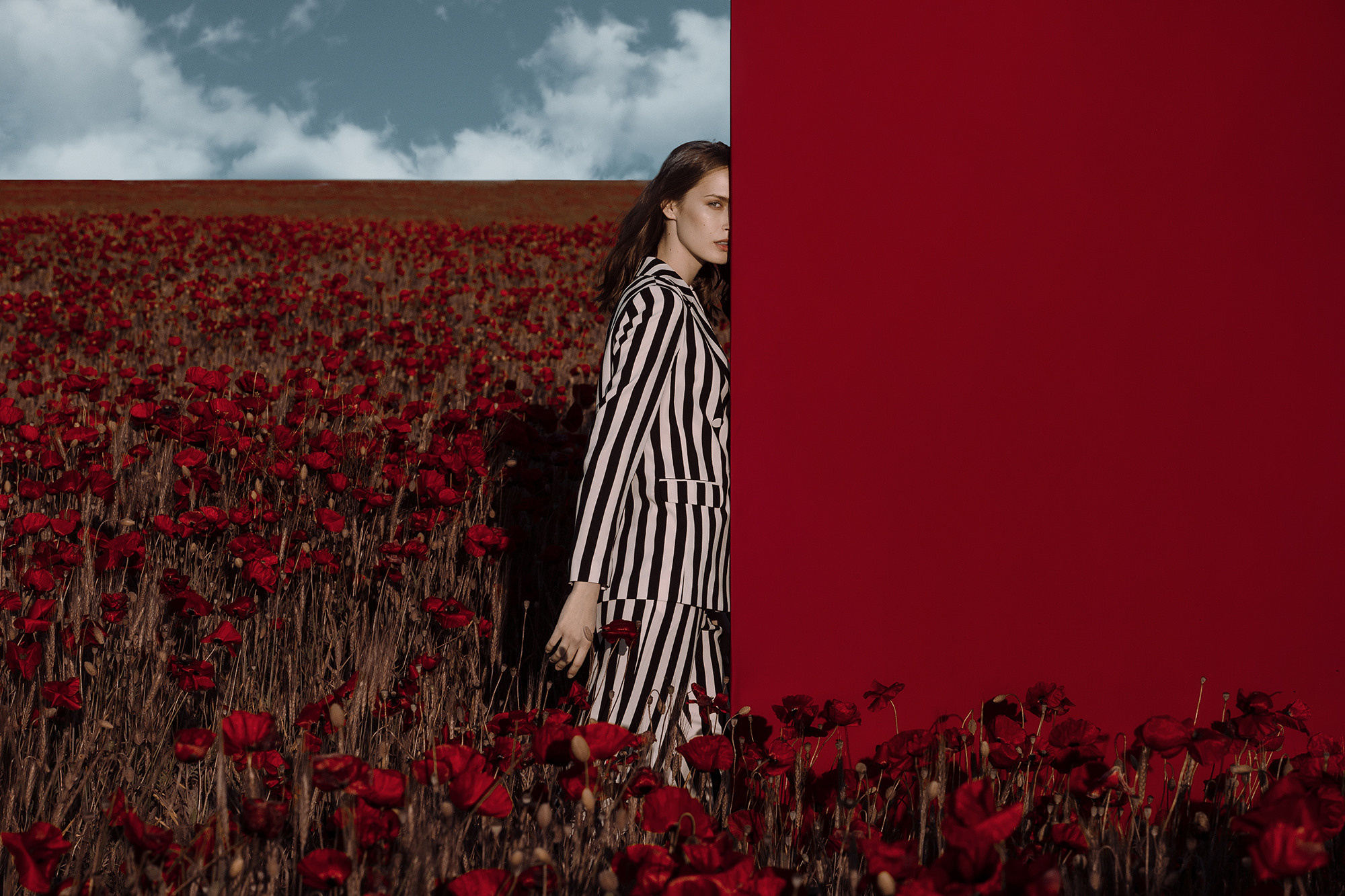 Photo shoot for a magazine on the poppy field Russia, France, Montenegro