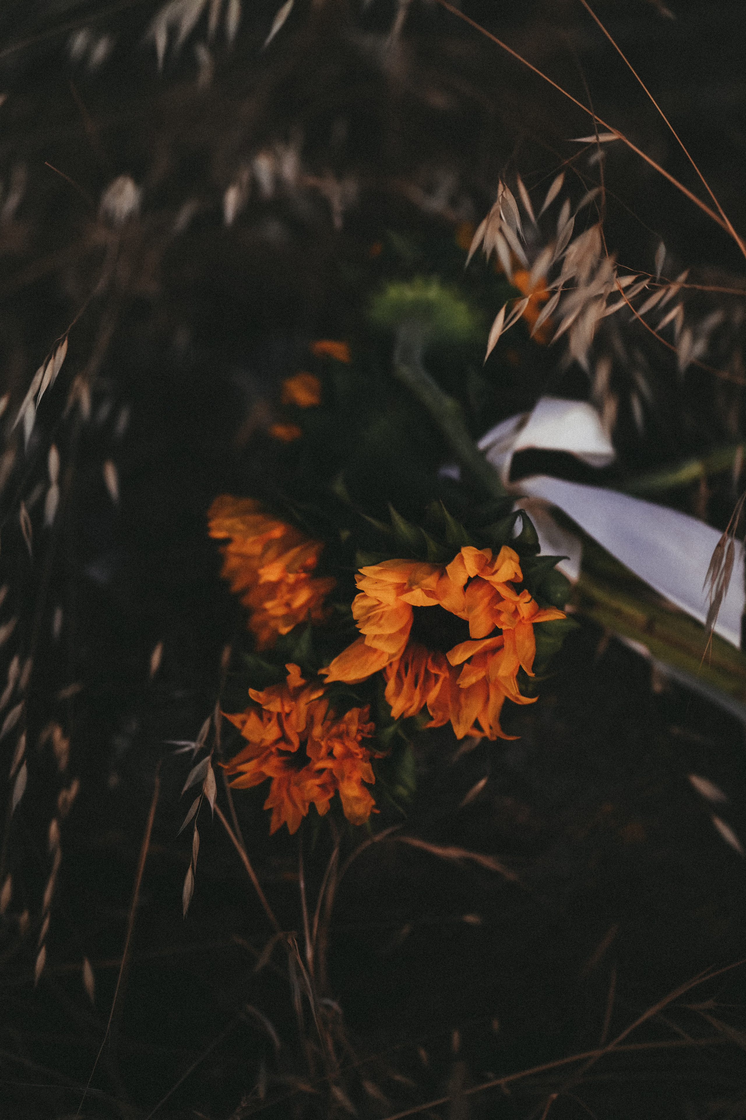 Alena&Julia. Я Твой фотограф — Ната! Буду рада видеть тебя в своем объективе!