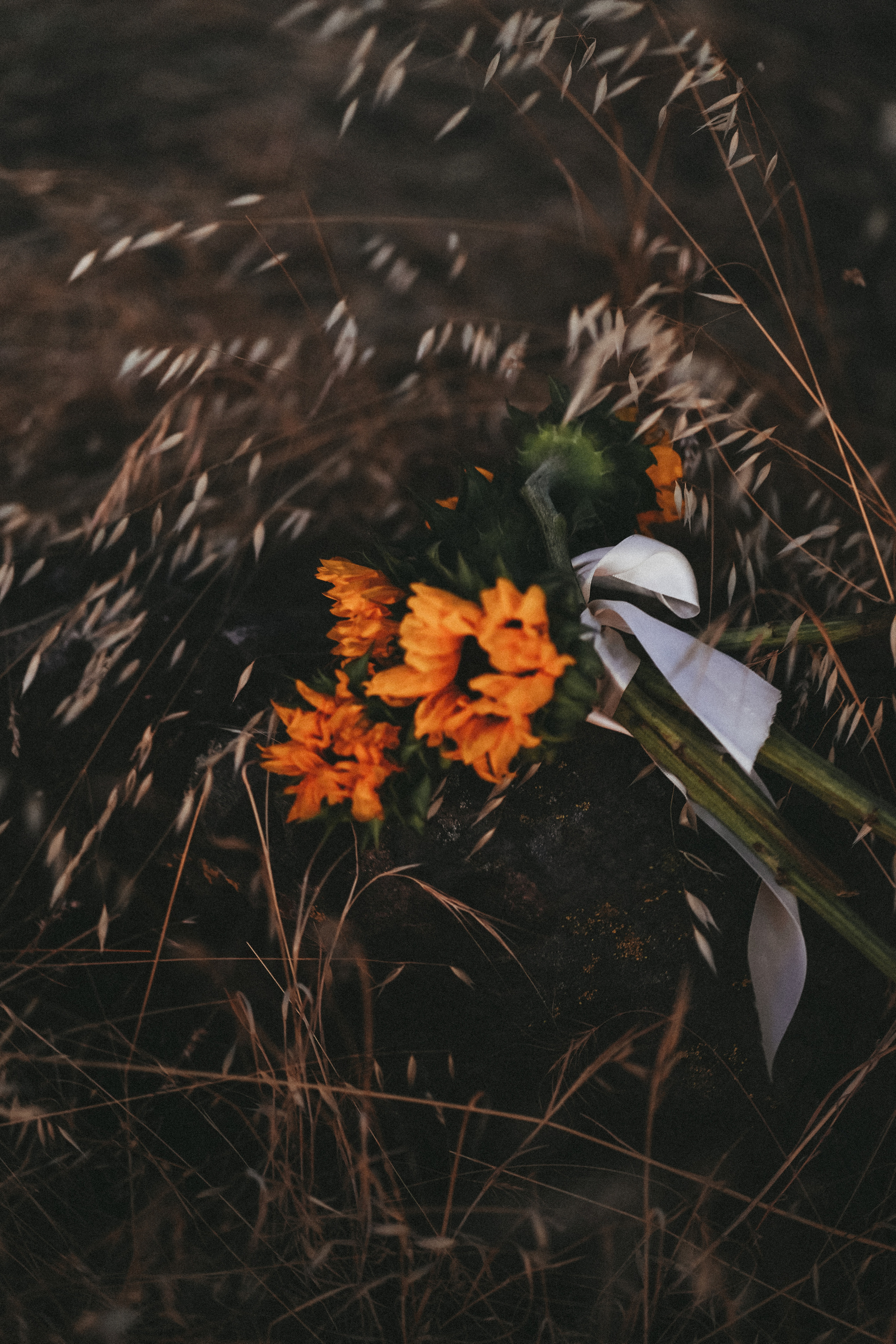 Alena&Julia. Я Твой фотограф — Ната! Буду рада видеть тебя в своем объективе!