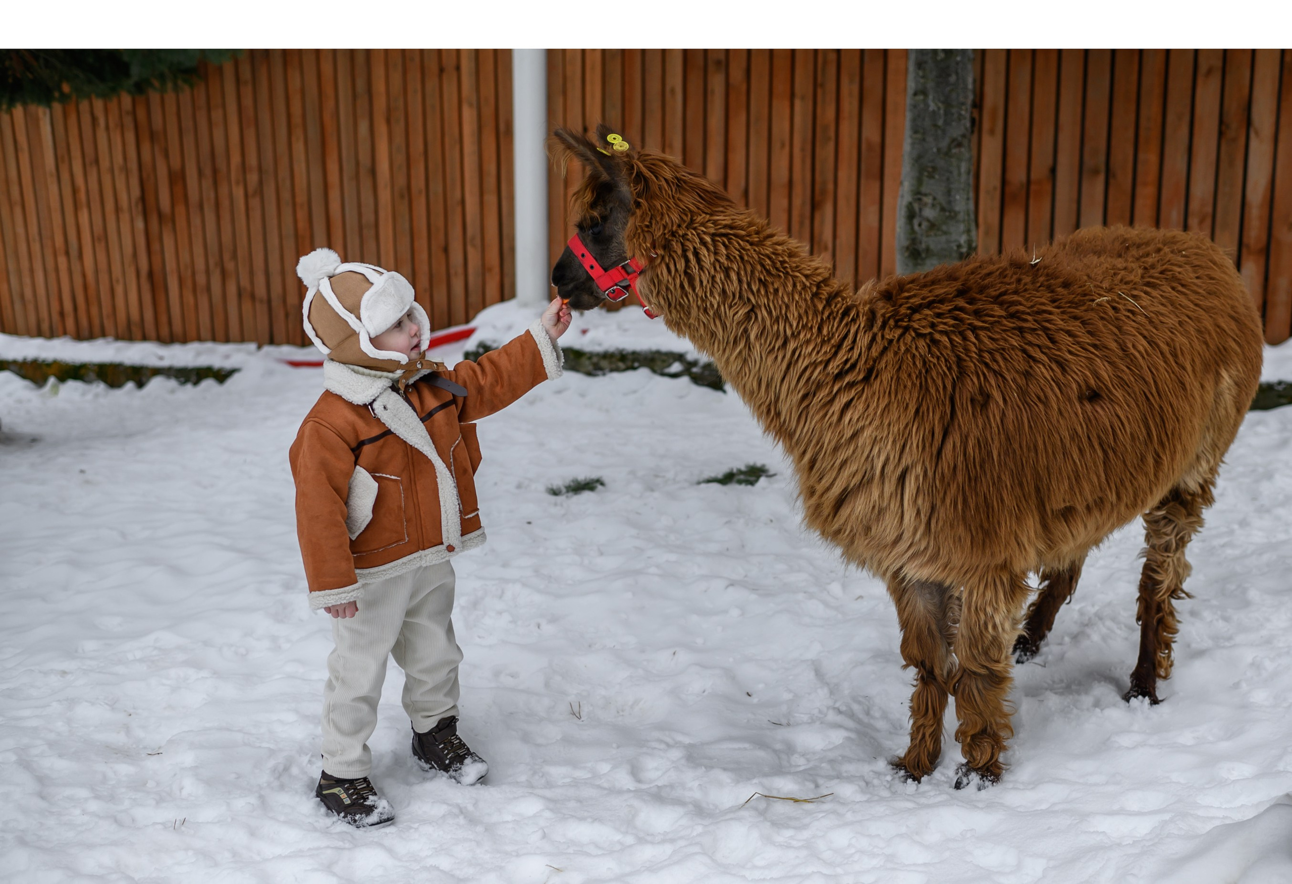 ДО_ПОСЛЕ. Семейный фотограф Екатеринбург Лора Мур